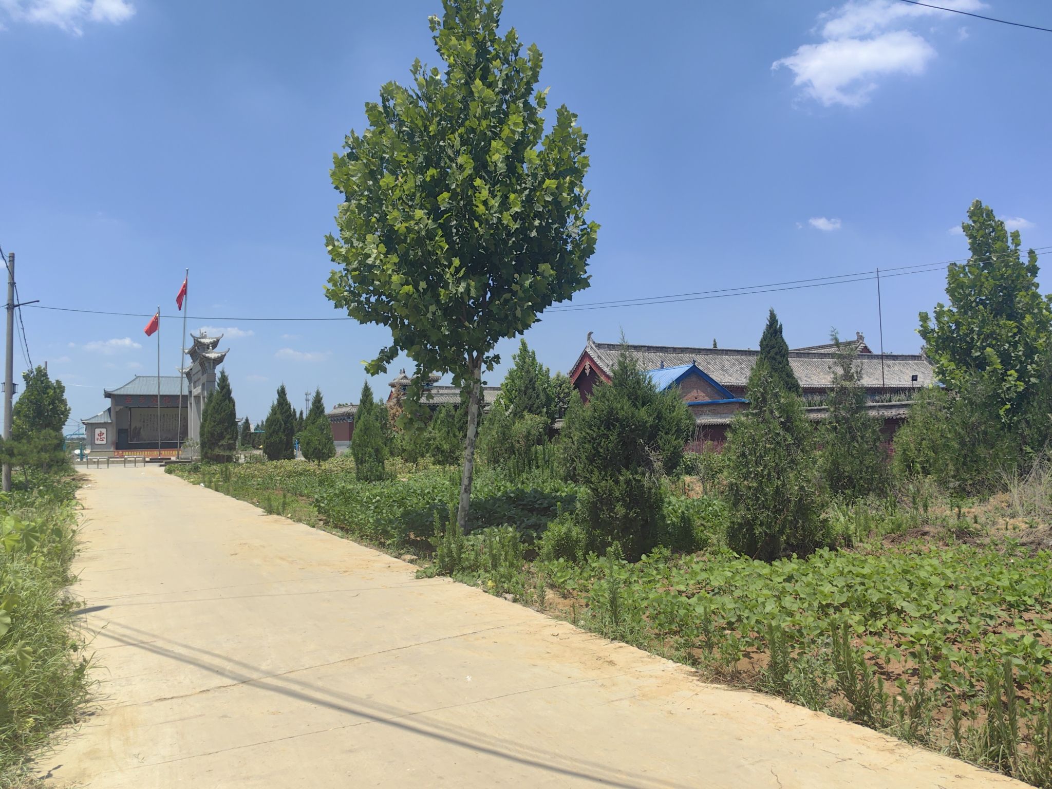 岳飞先茔旅行图片 1