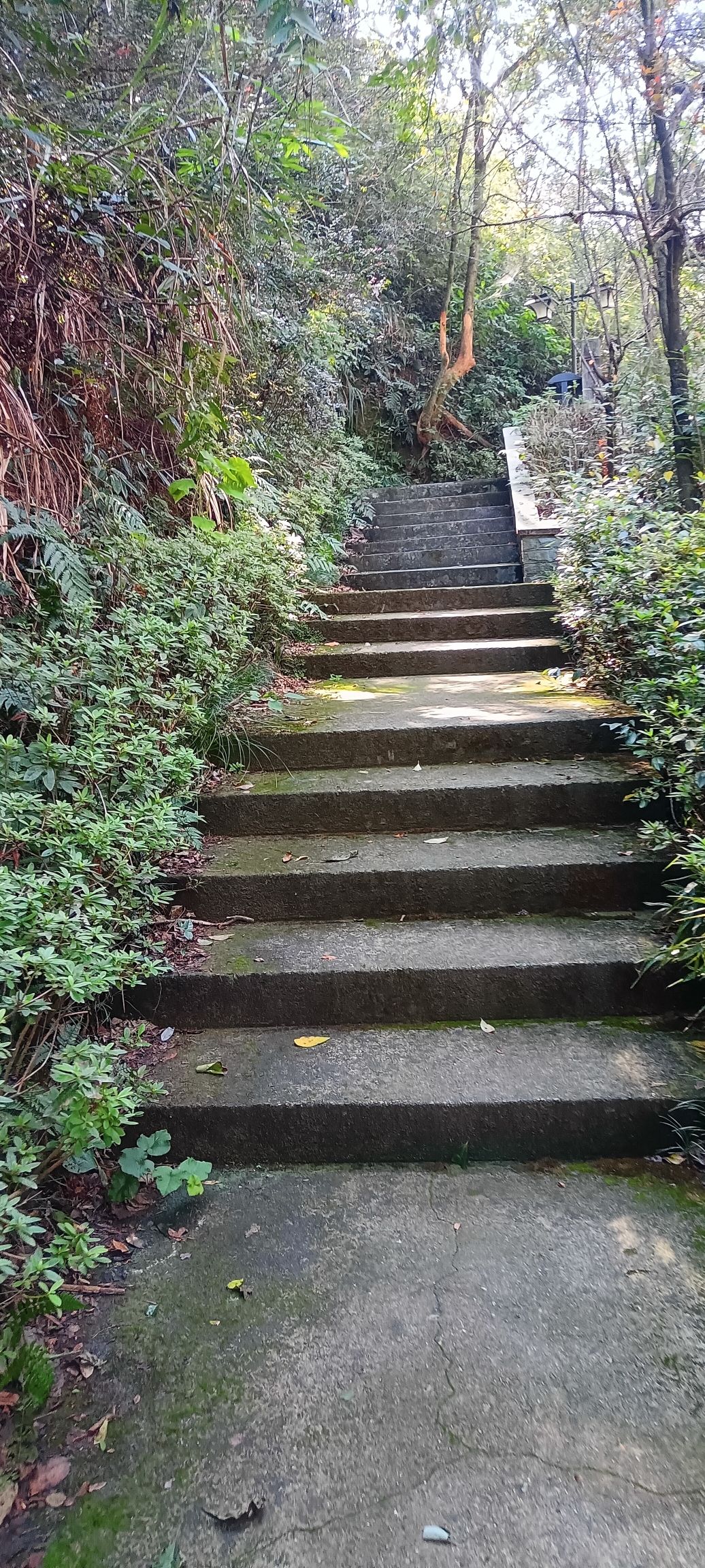 华埠镇橙山公园旅行图片 3