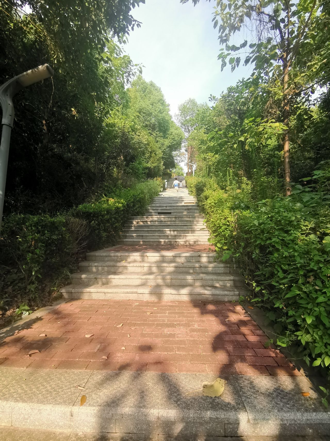 砚池山公园旅行图片 2