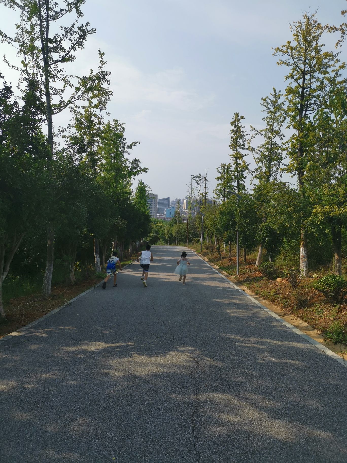砚池山公园旅行图片 3