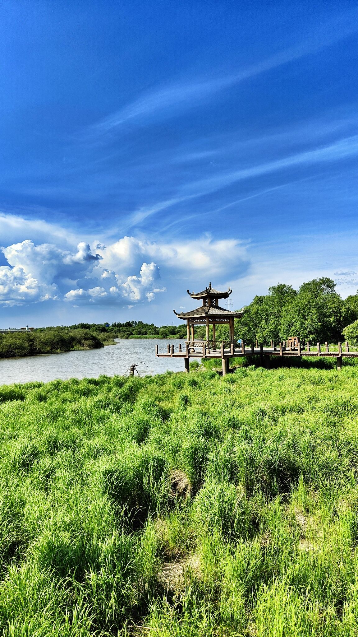 乌苏里江国家湿地公园旅行图片 1