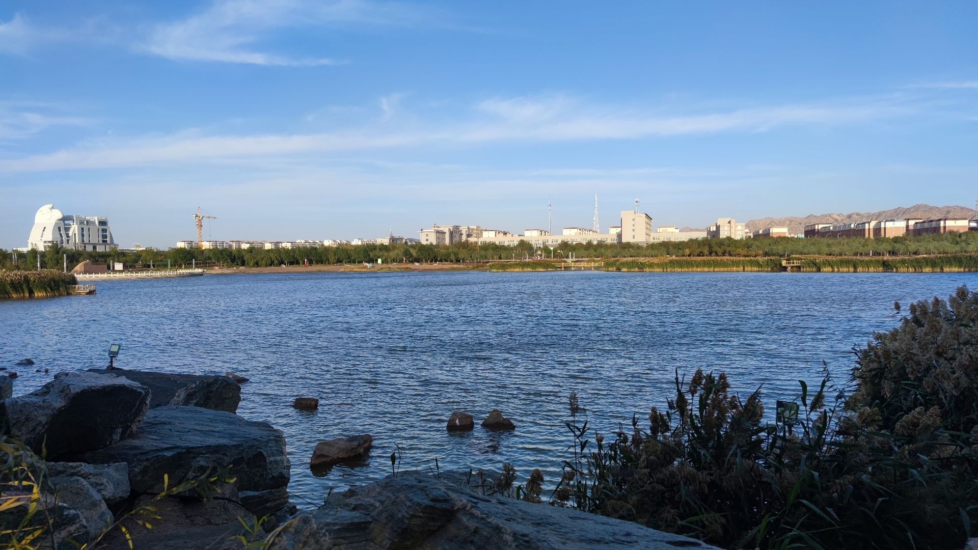 阿拉善右旗沙生植物园旅行图片 1