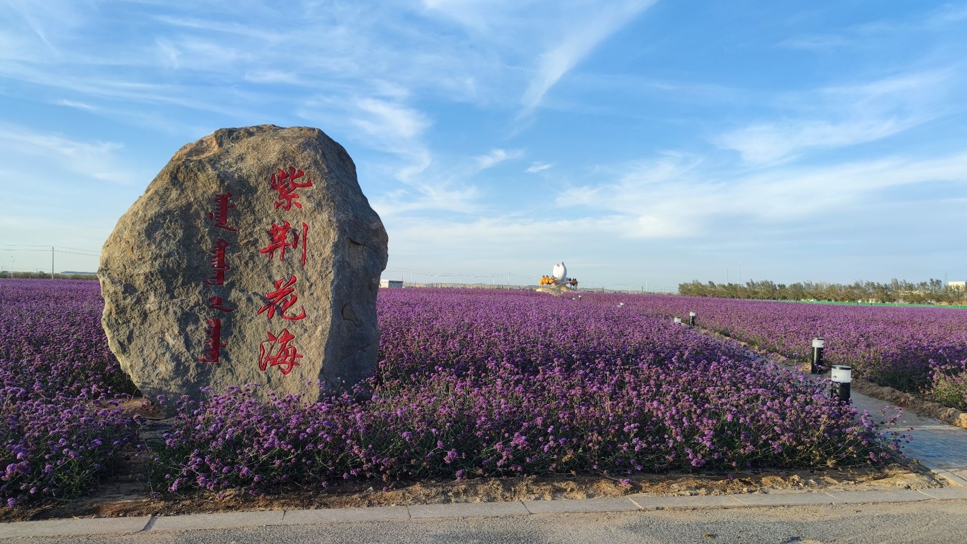 阿拉善右旗沙生植物园旅行图片 2