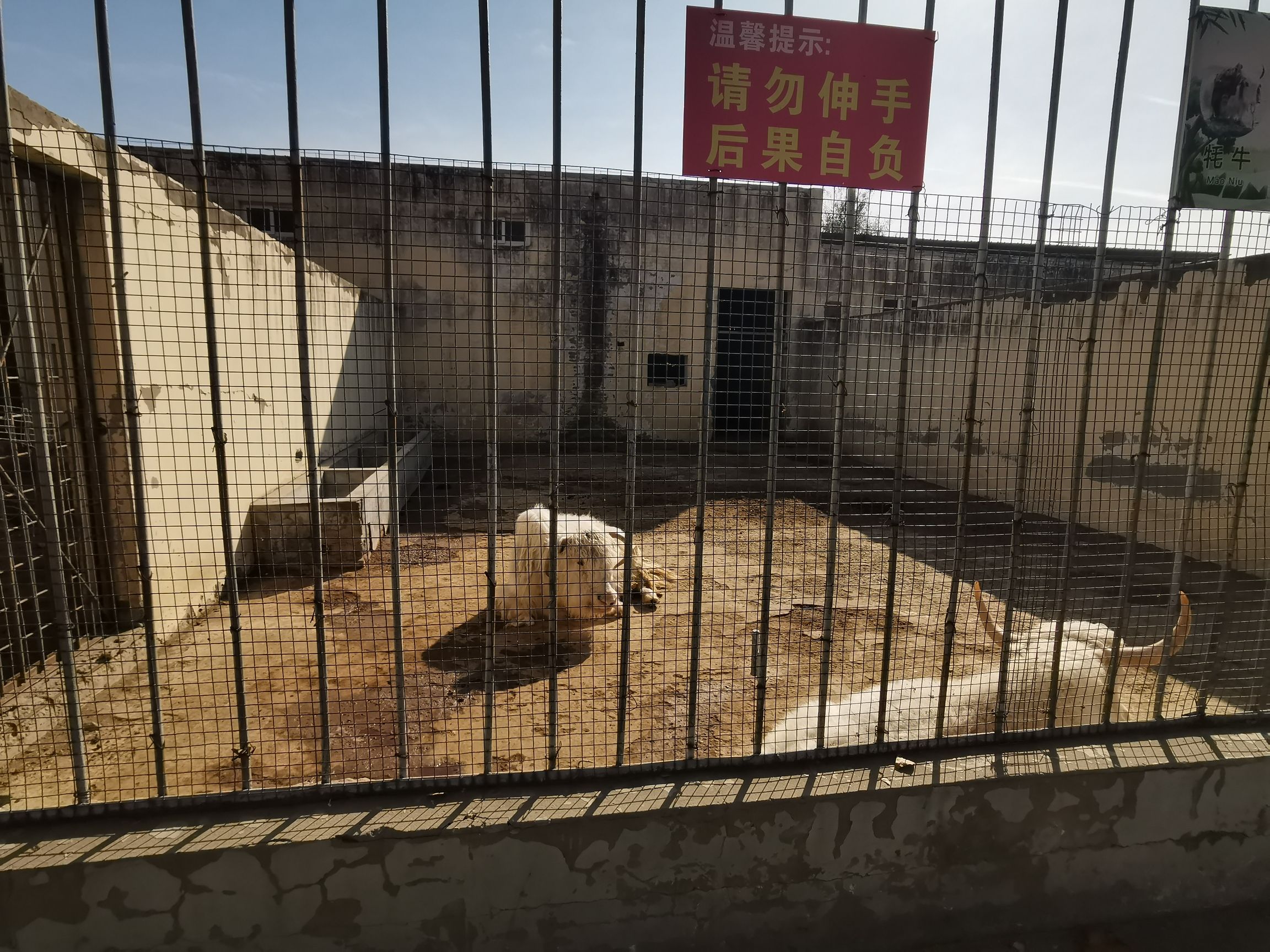 枫岭动物园旅行图片 2