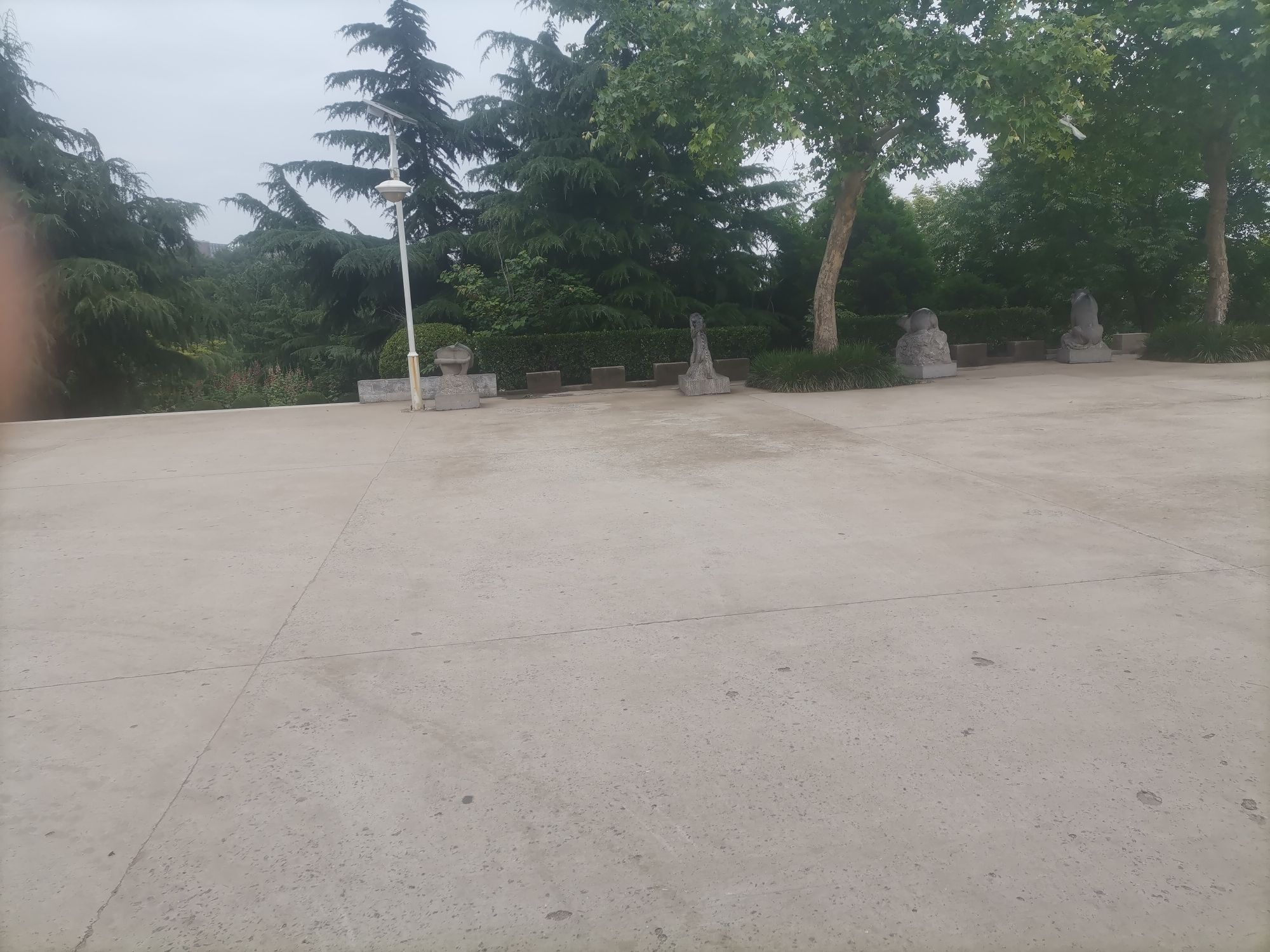 枫岭动物园旅行图片 1