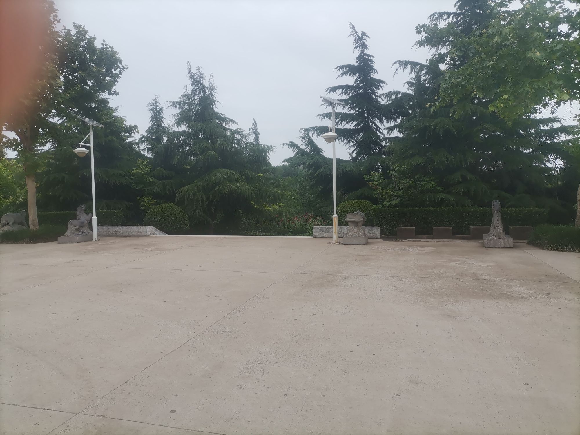 枫岭动物园旅行图片 3