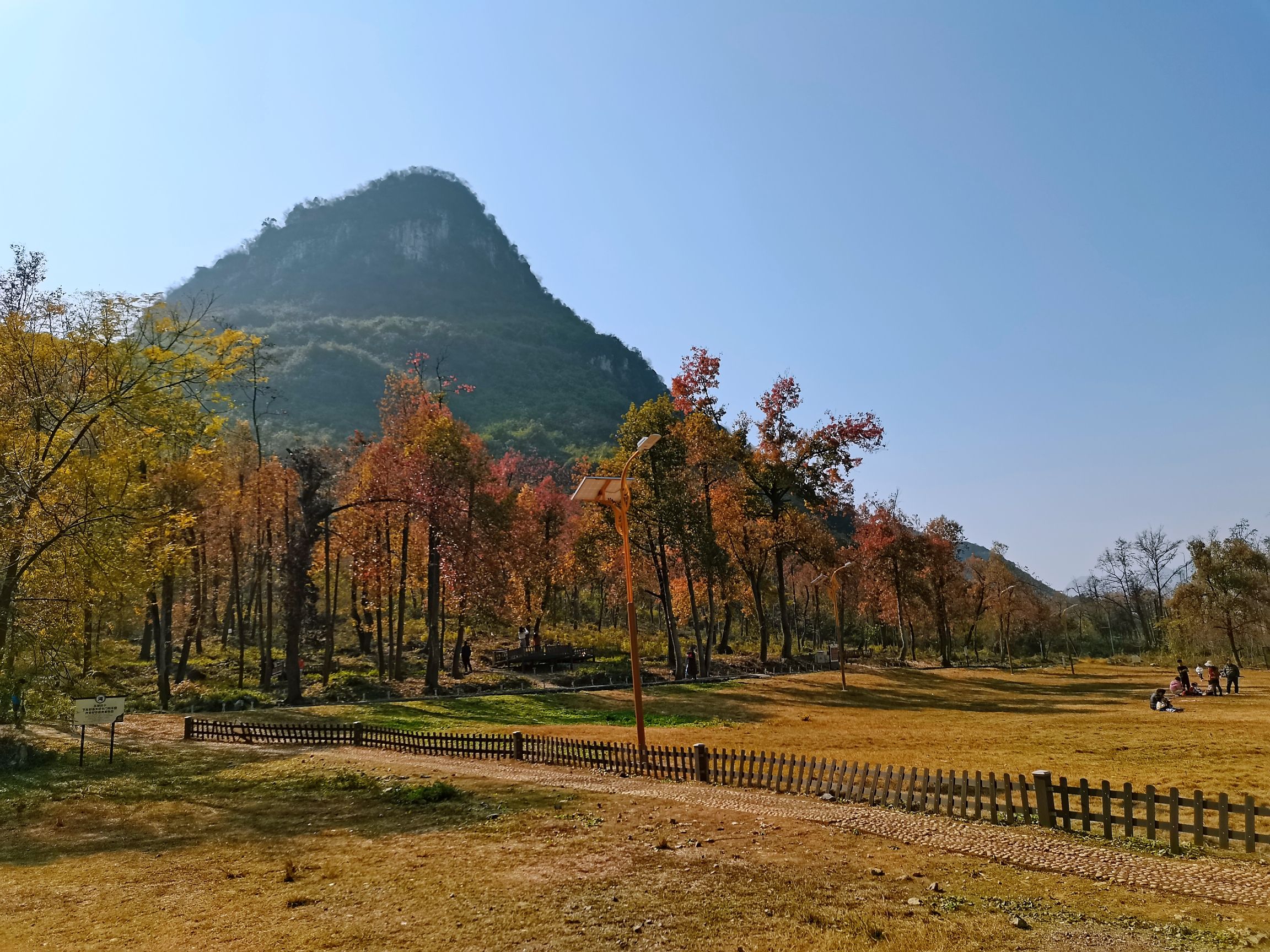 蓬坡红枫林旅行图片 1