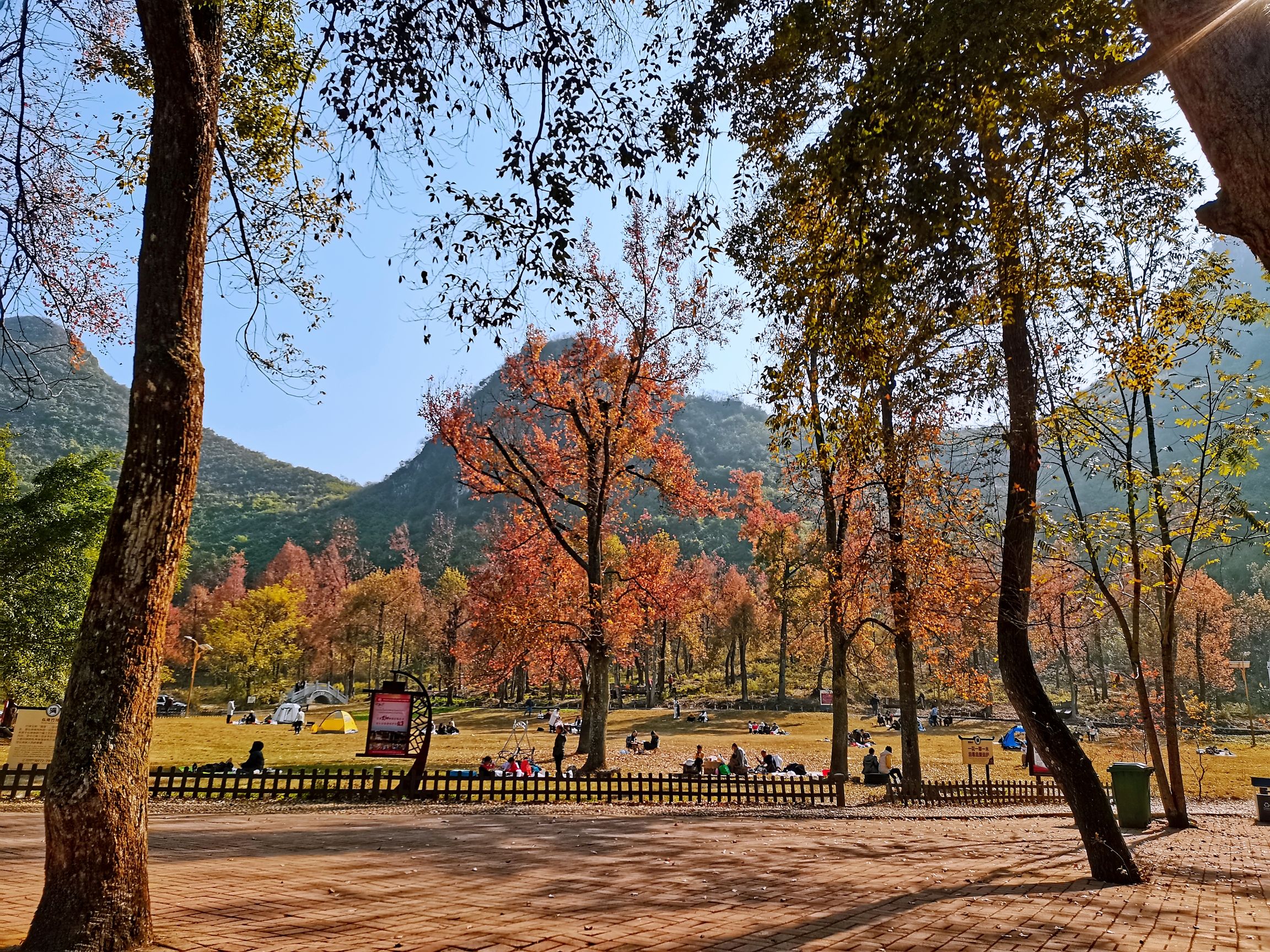 蓬坡红枫林旅行图片 2