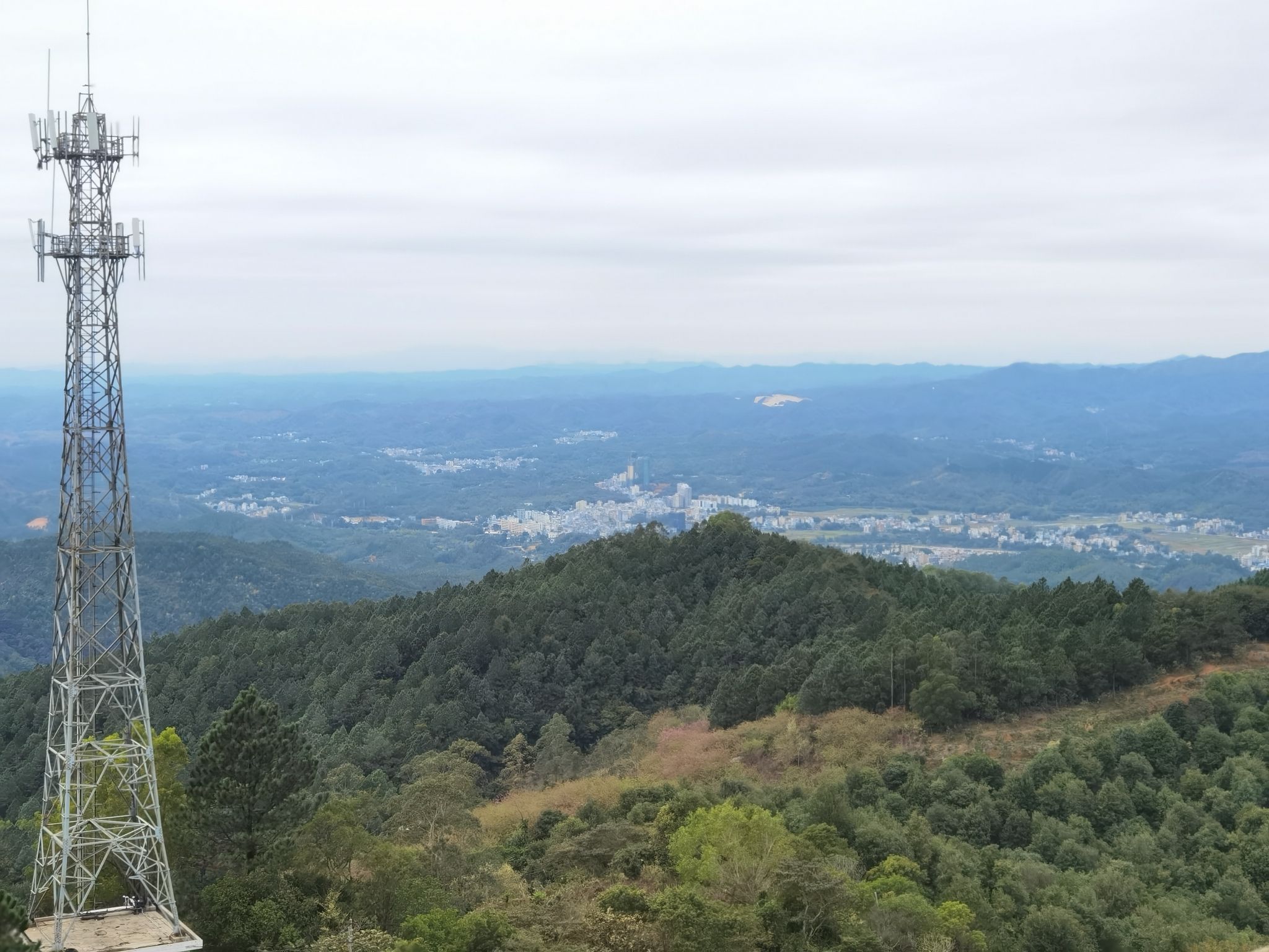飞鹅岭自然保护区旅行图片 2