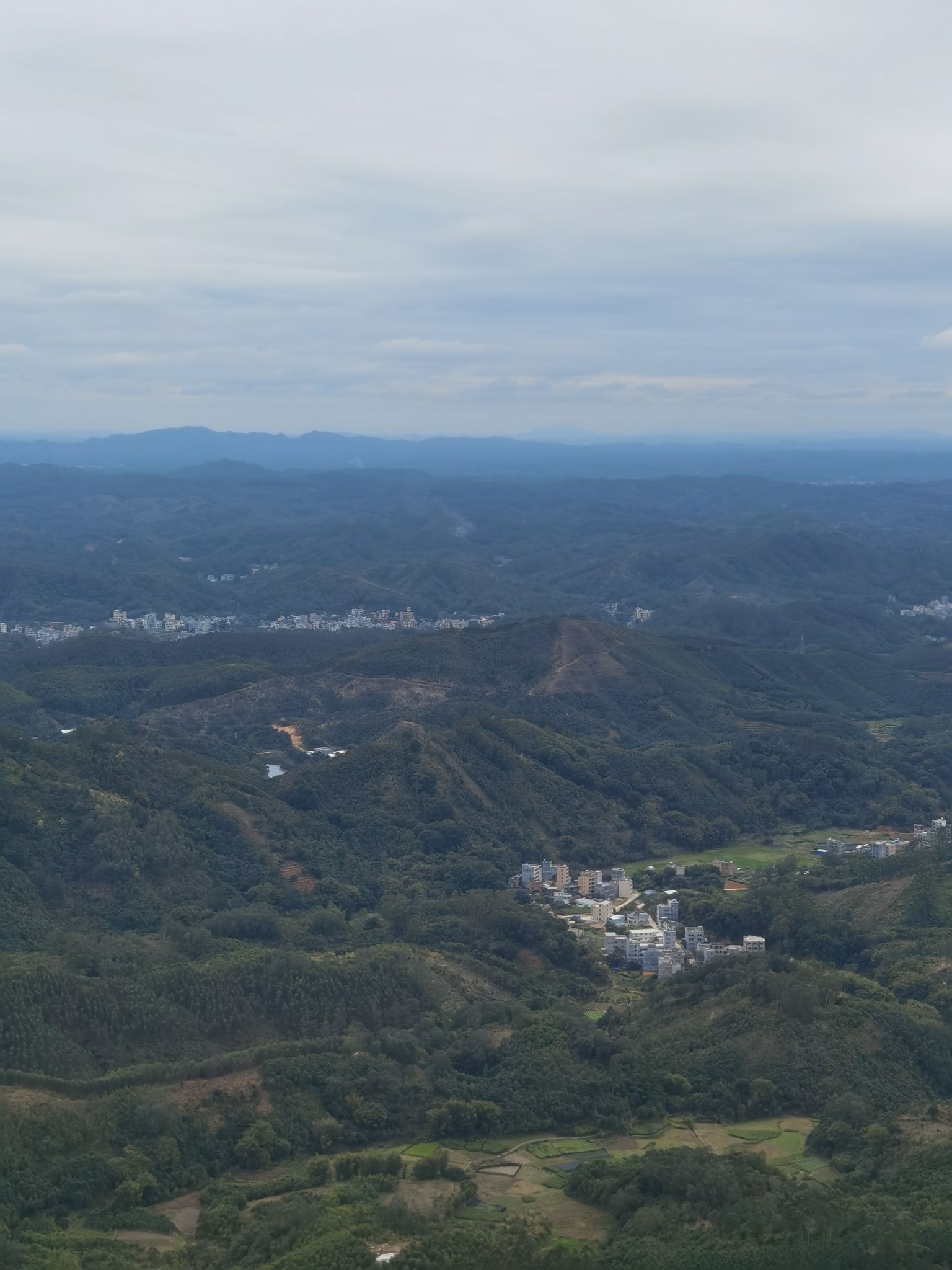 飞鹅岭自然保护区旅行图片 3