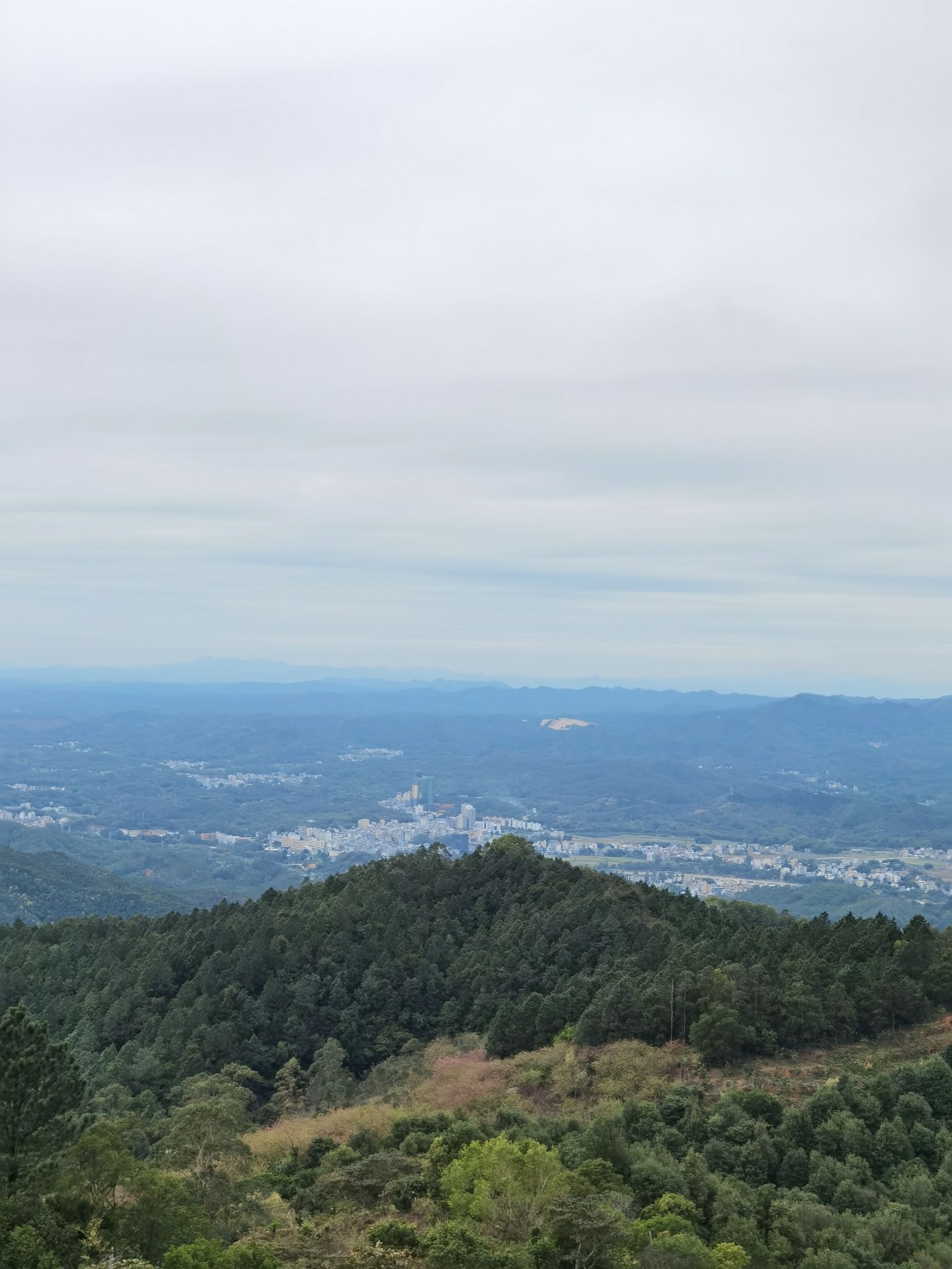 飞鹅岭自然保护区旅行图片 1