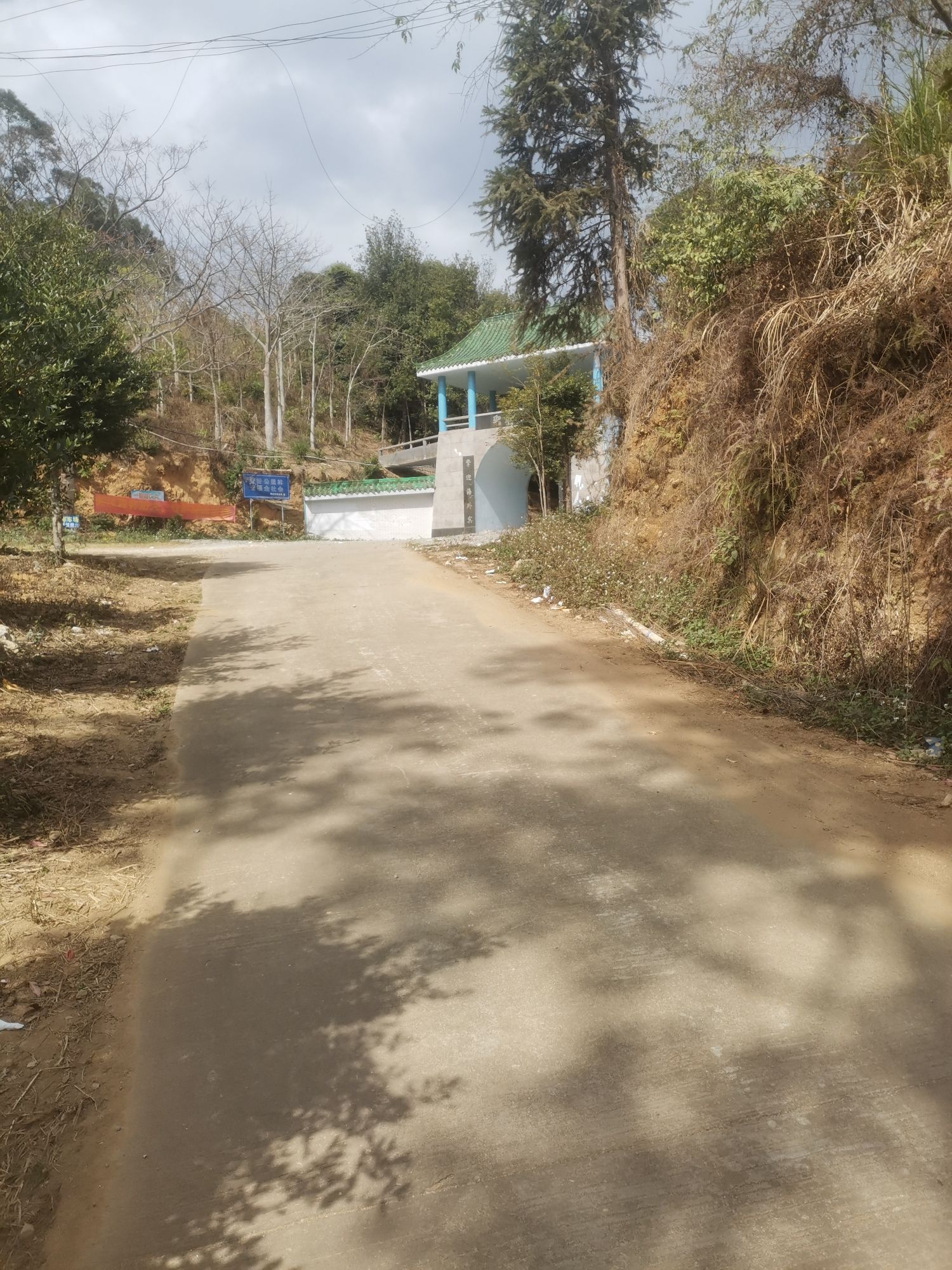 飞鹅岭自然保护区旅行图片 1