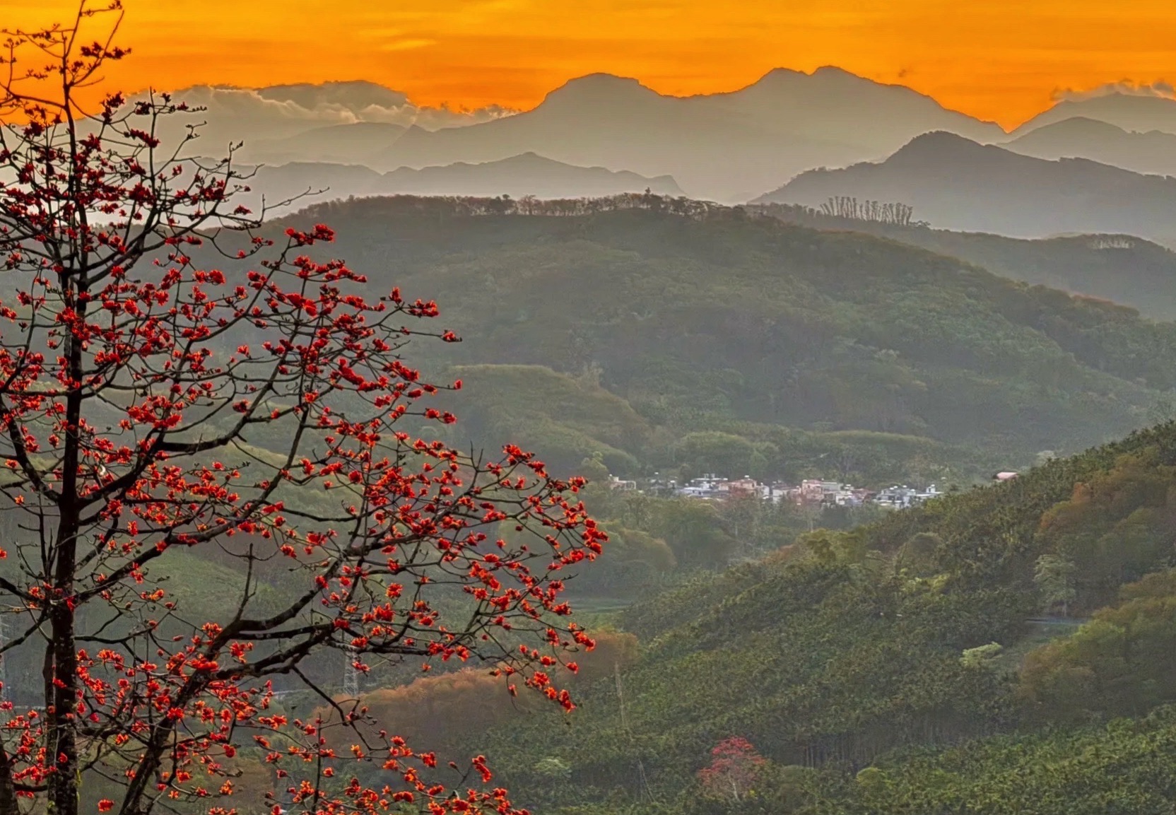 九架岭雾绕青峰观景台
