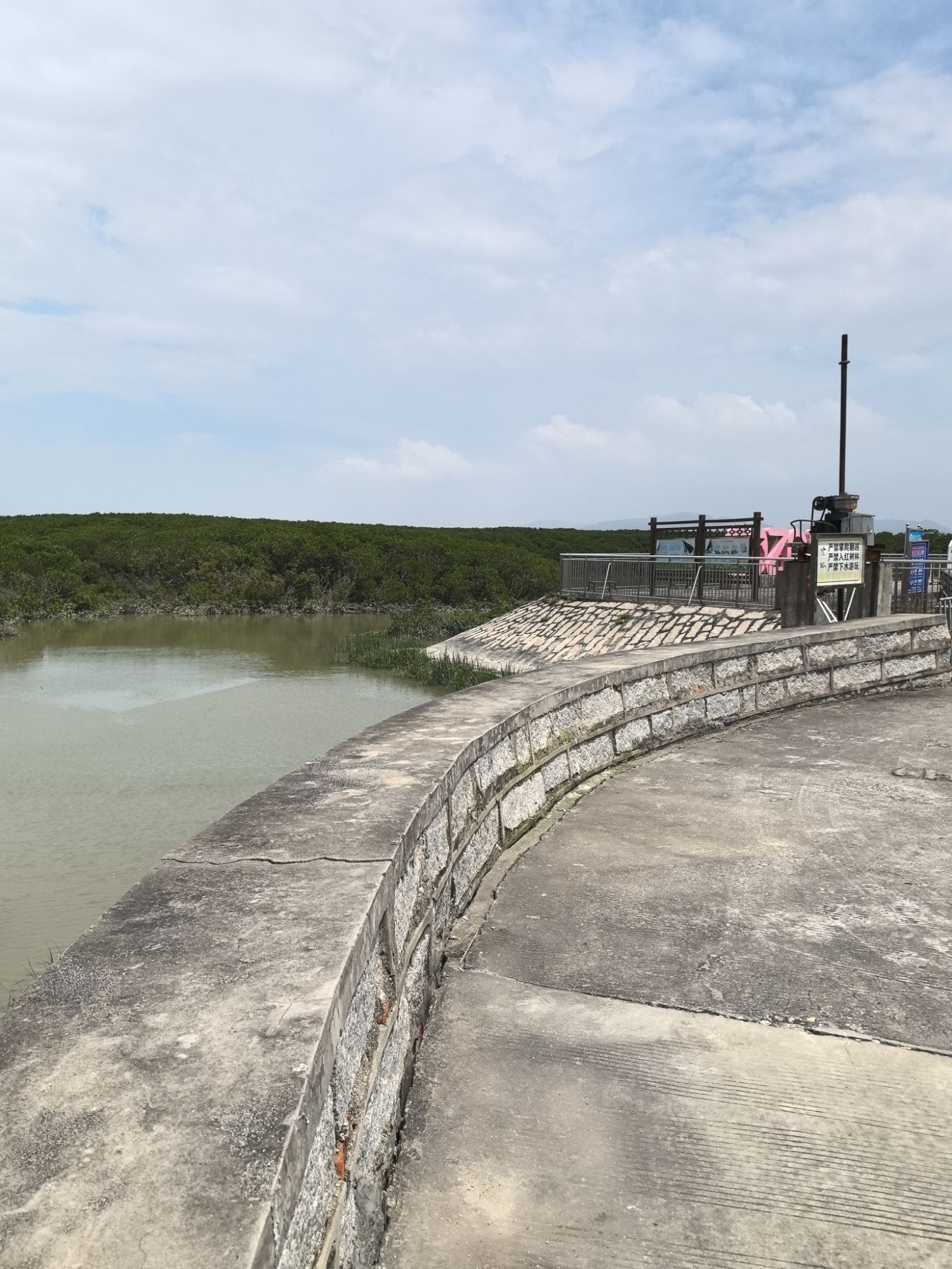 紫泥红树林旅行图片 3