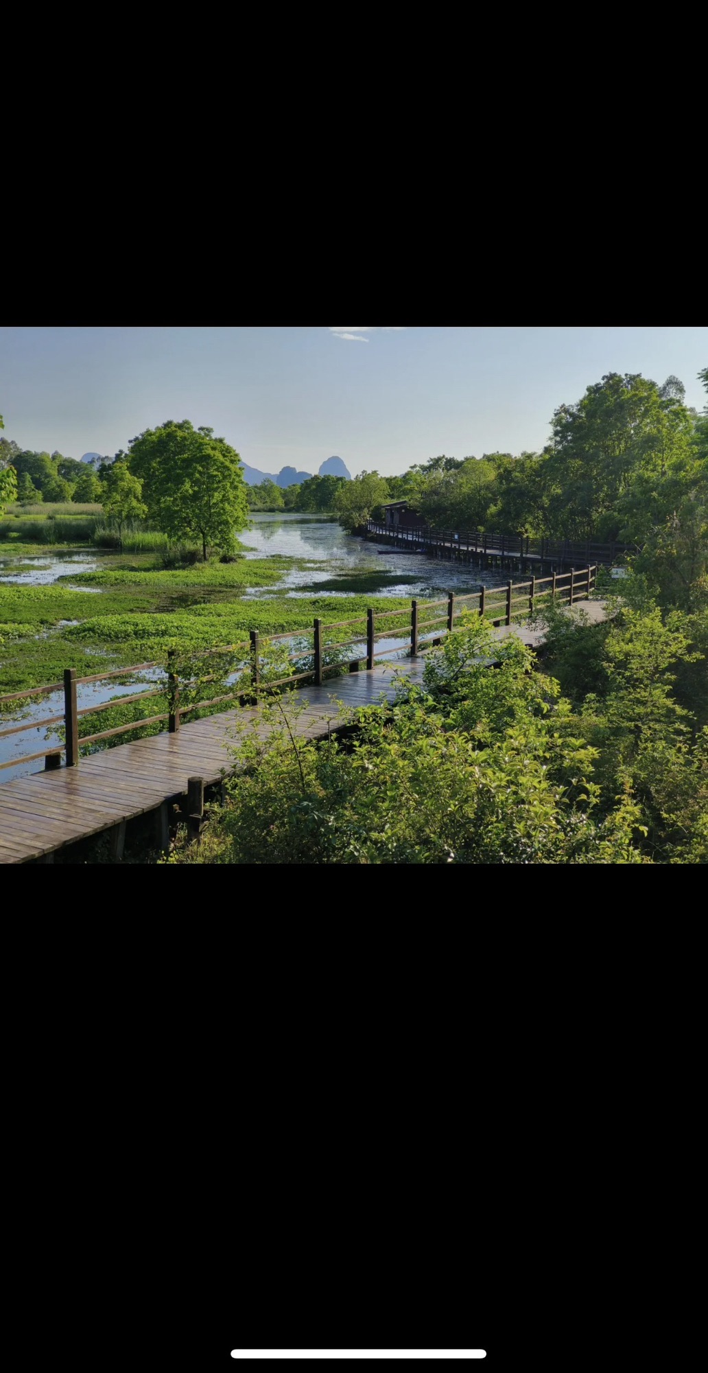 会仙湿地旅行图片 3