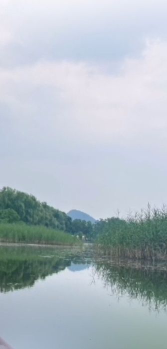 会仙湿地旅行图片 3