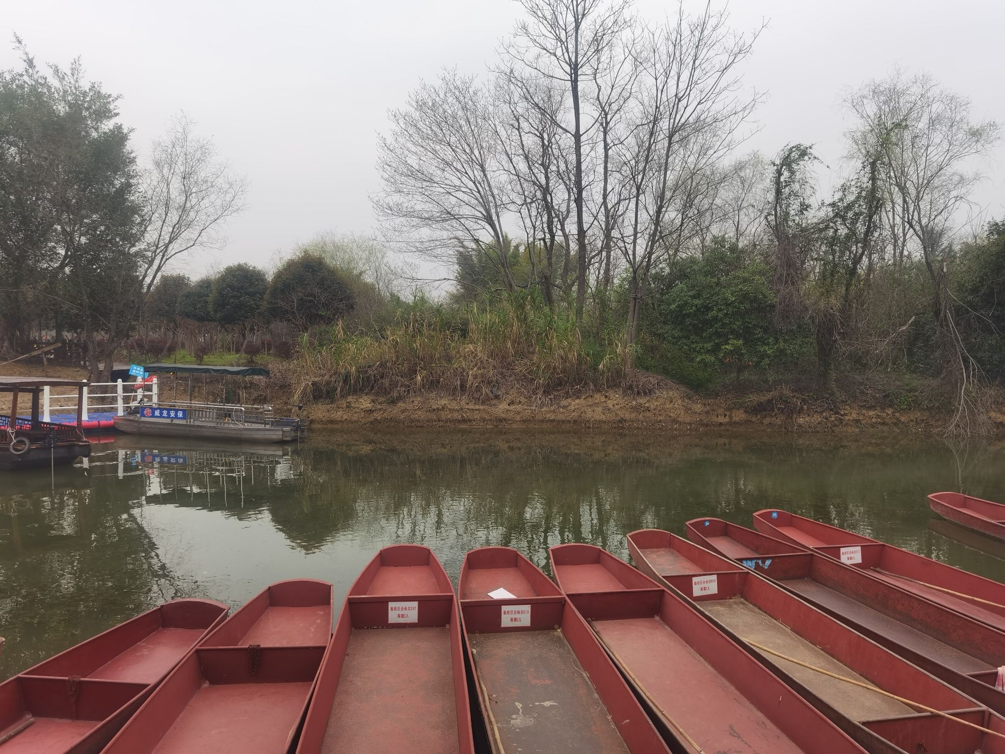 会仙湿地旅行图片 2
