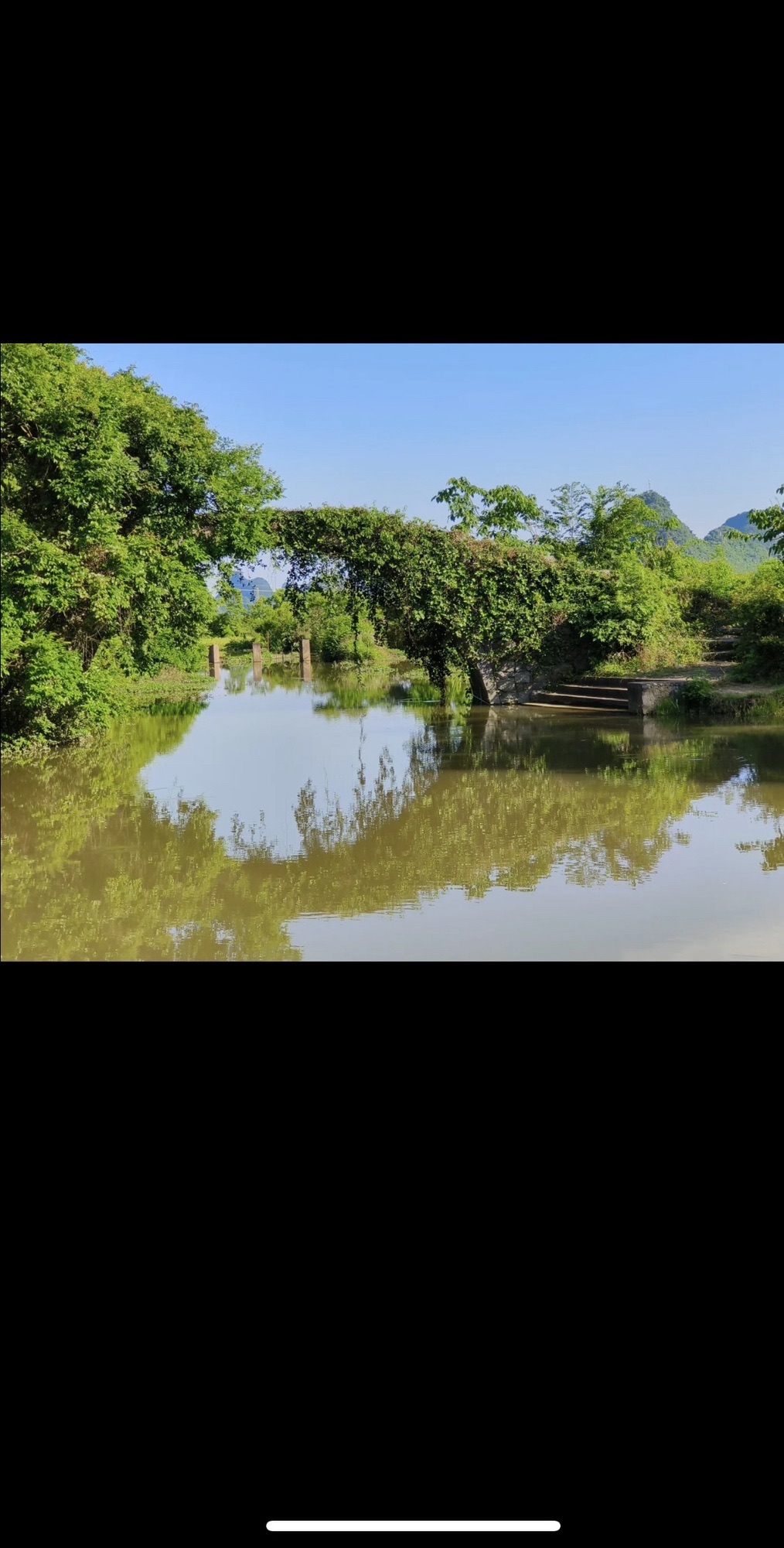 会仙湿地旅行图片 2
