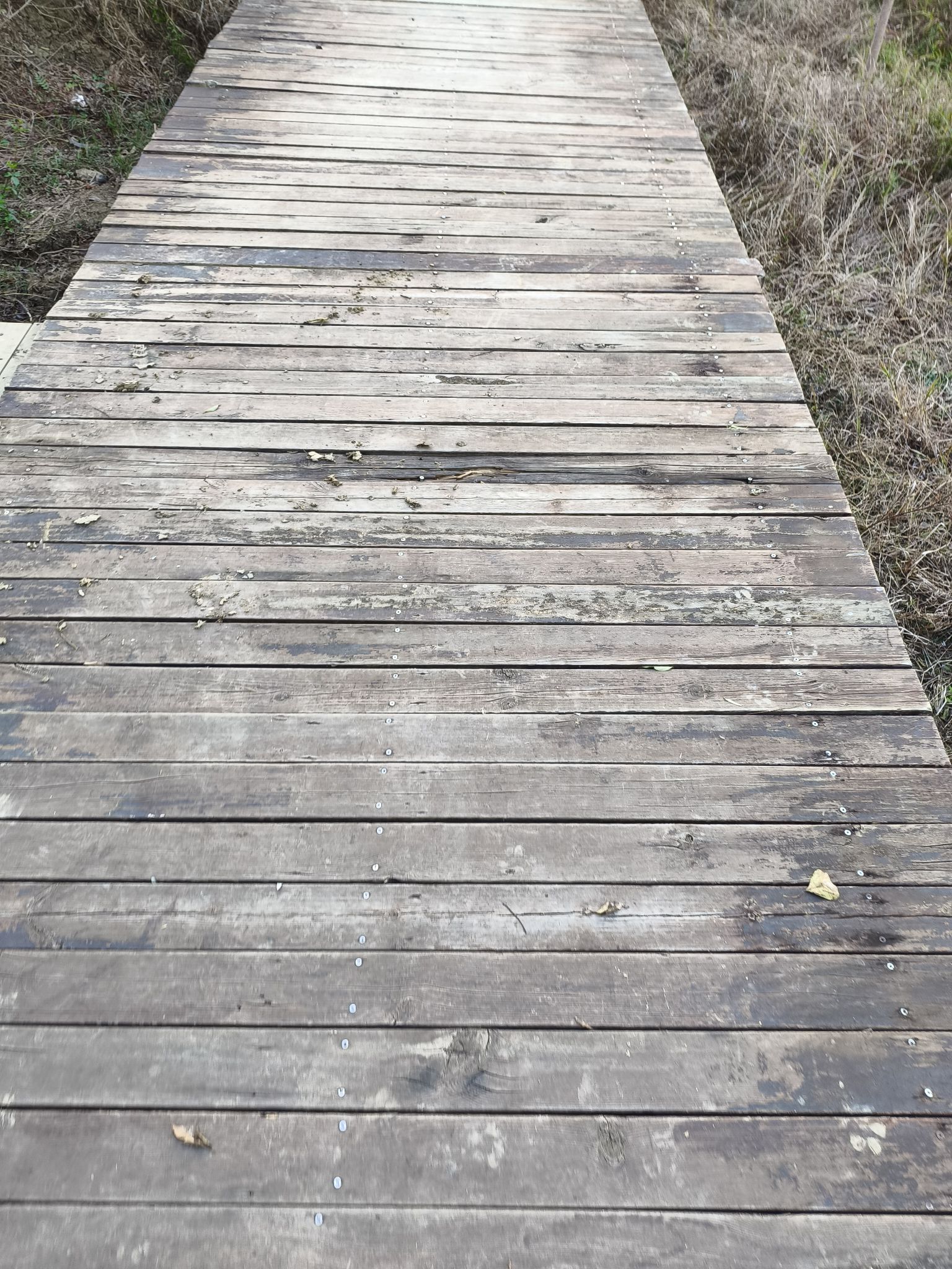 会仙湿地旅行图片 1