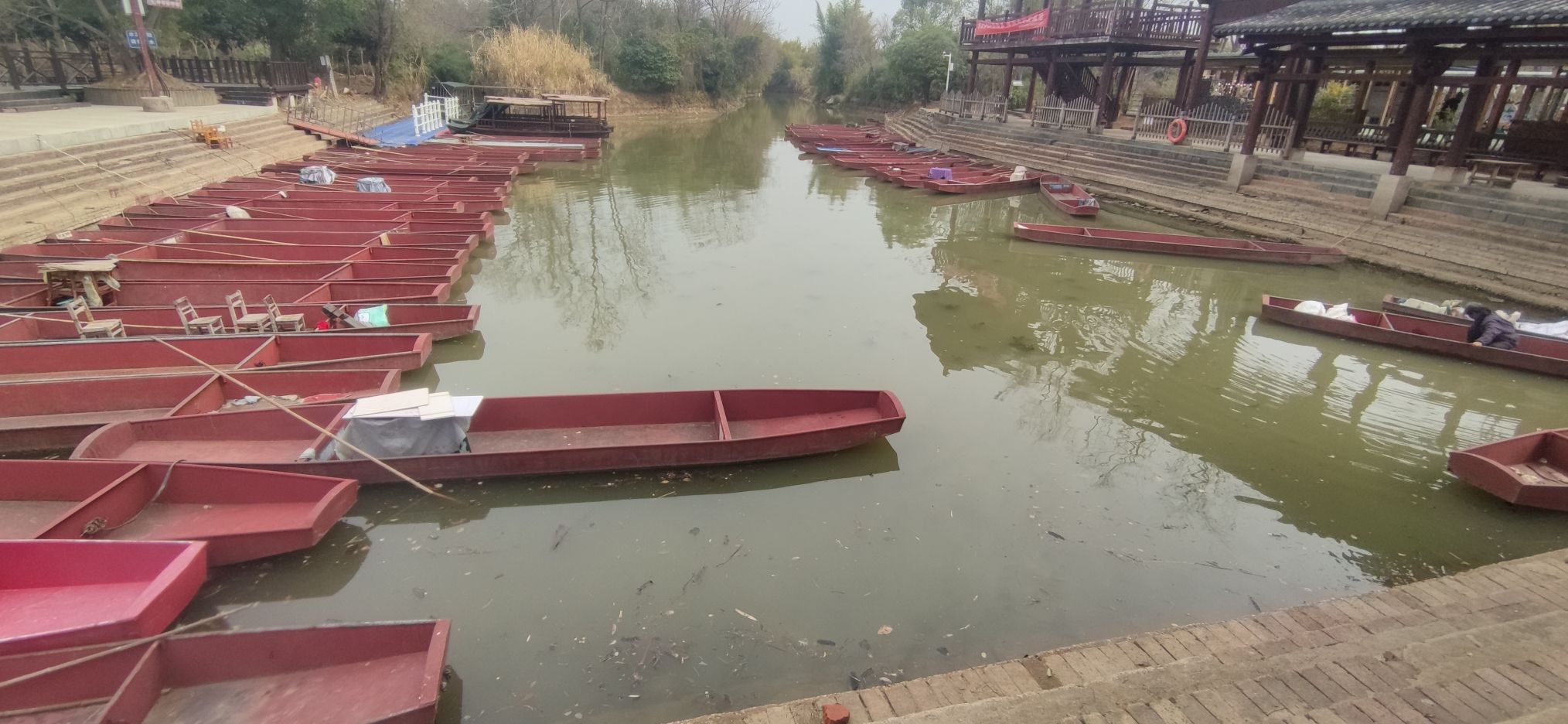 会仙湿地旅行图片 3