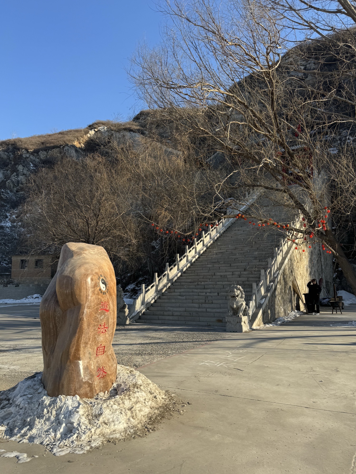 阇黎洞旅行图片
