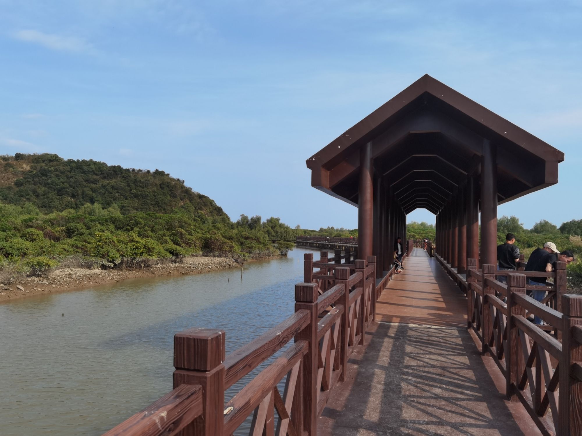 广东镇海湾红树林湿地公园旅行图片 1