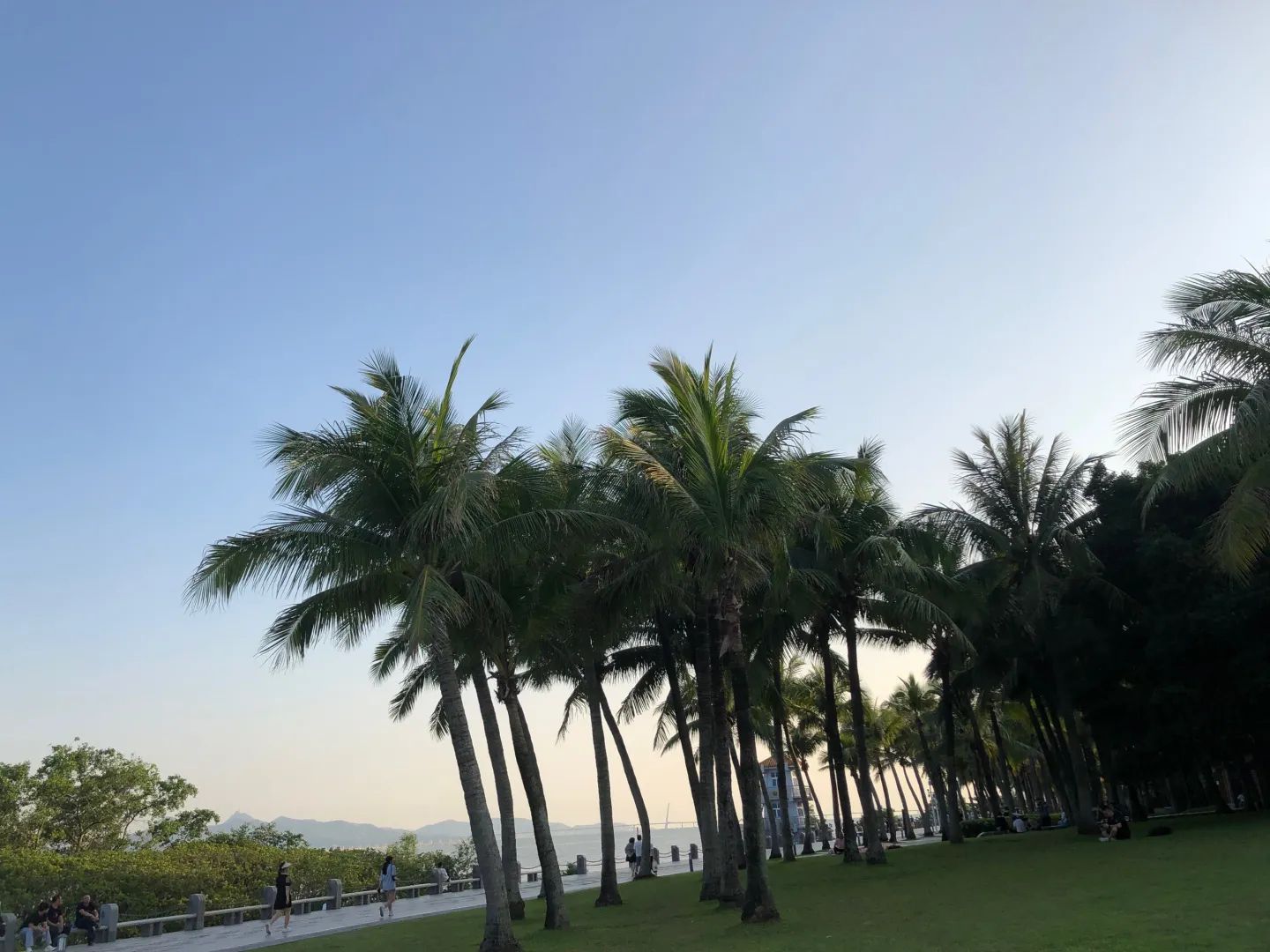 广东镇海湾红树林湿地公园旅行图片 1