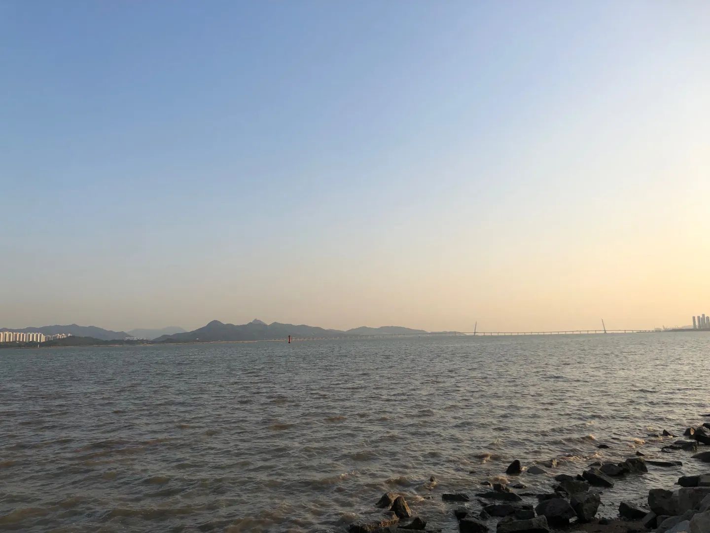 广东镇海湾红树林湿地公园旅行图片 3