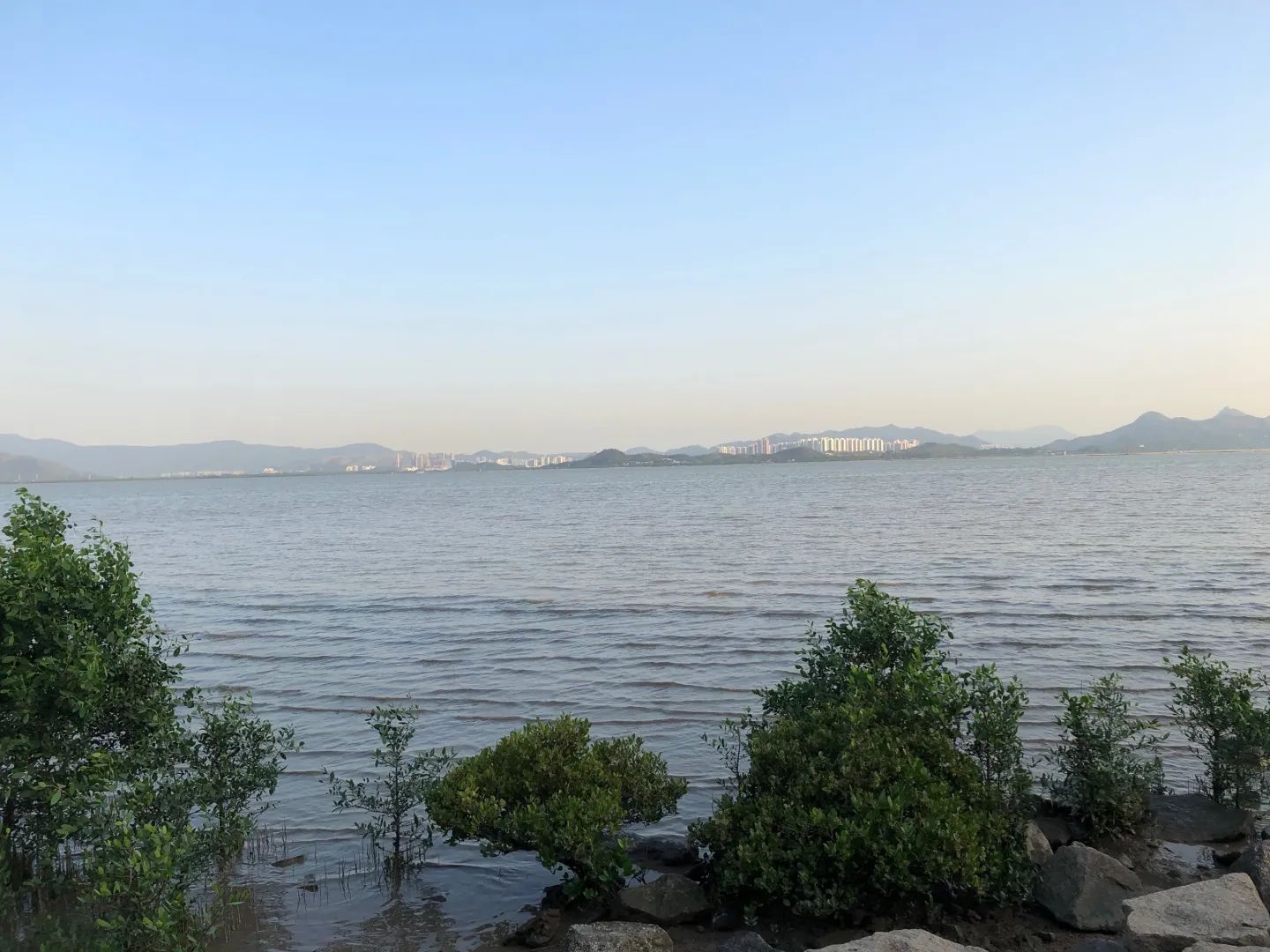 广东镇海湾红树林湿地公园旅行图片 2