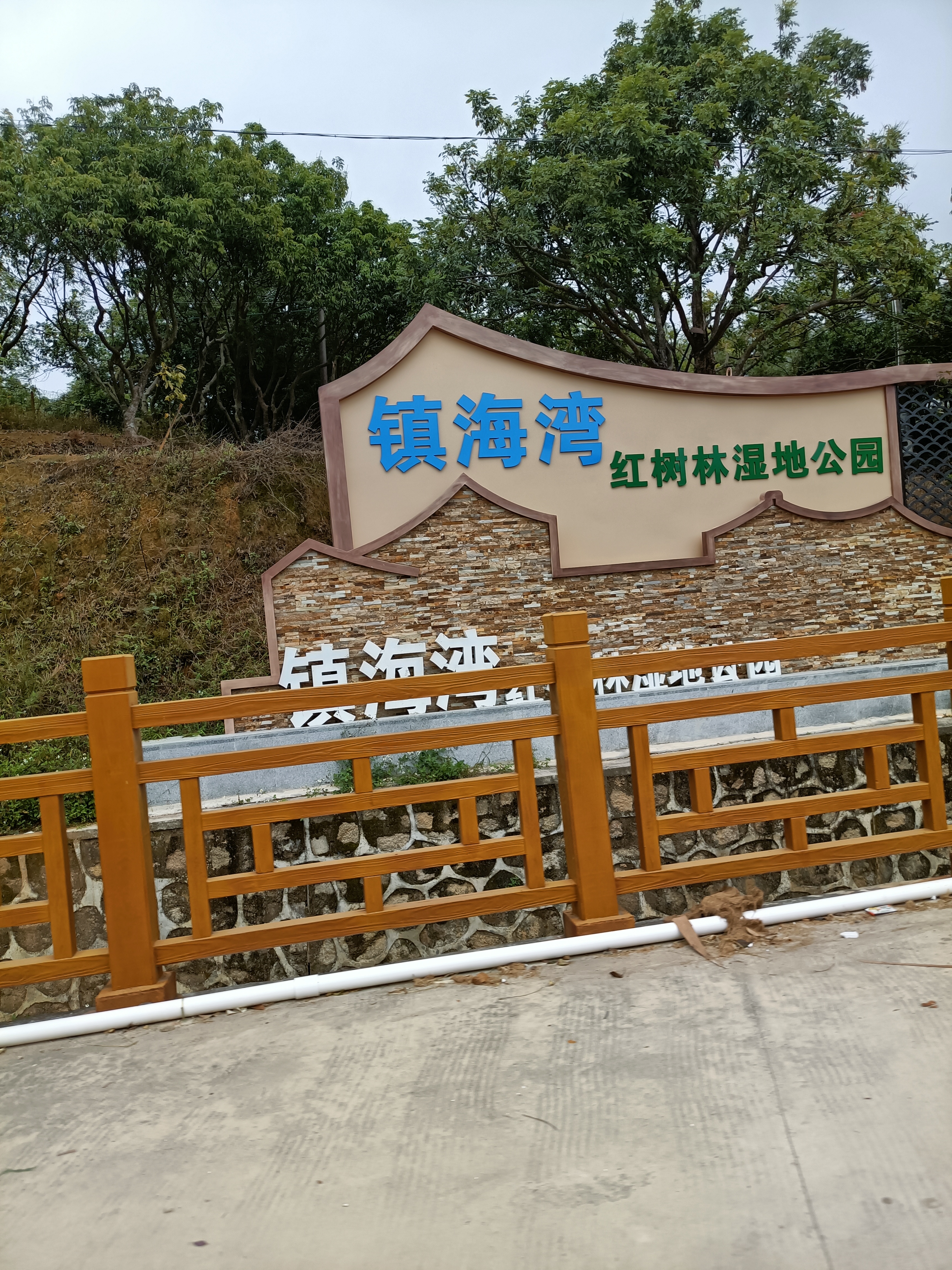 广东镇海湾红树林湿地公园旅行图片 1