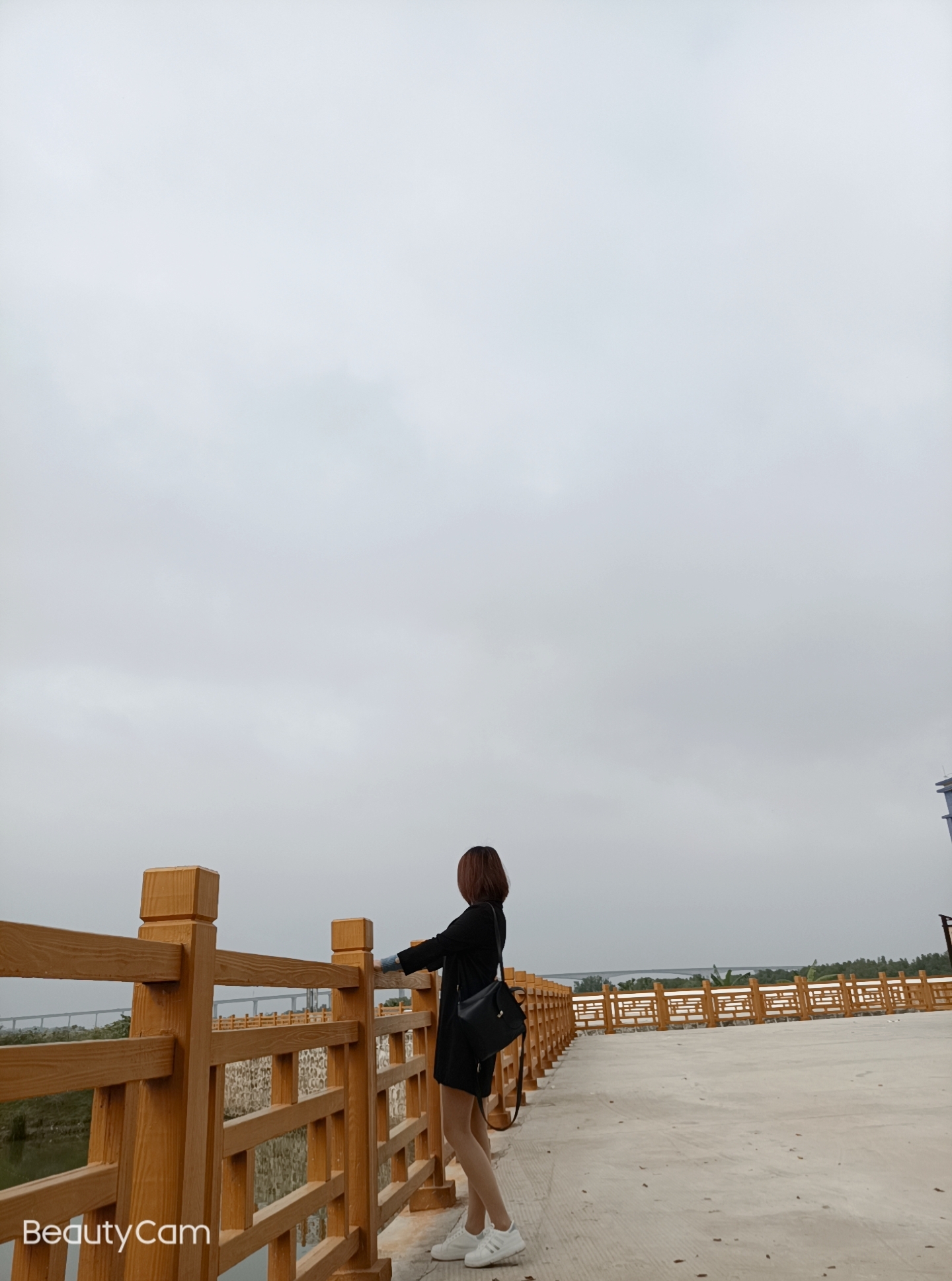 广东镇海湾红树林湿地公园旅行图片 2