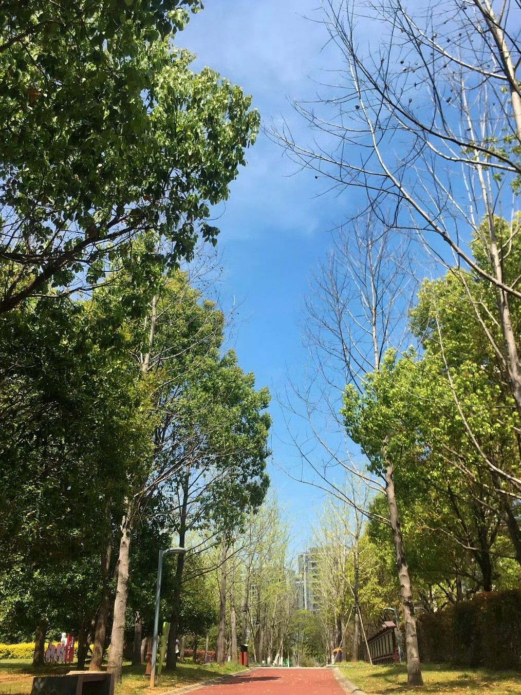 万年县体育公园旅行图片 1