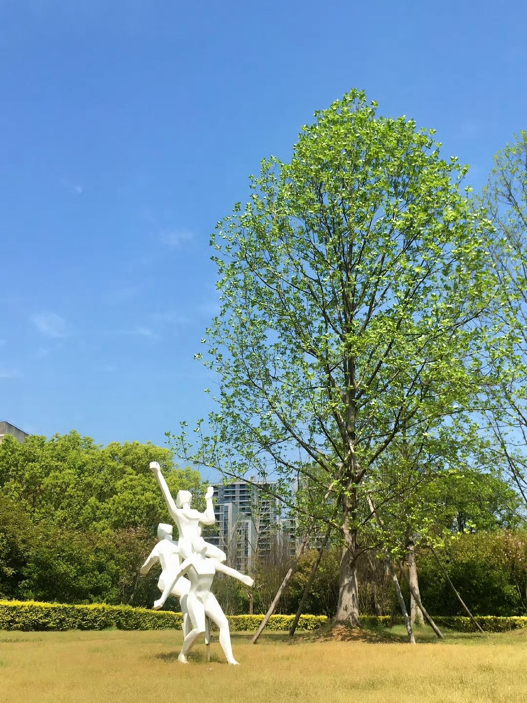 万年县体育公园旅行图片 2