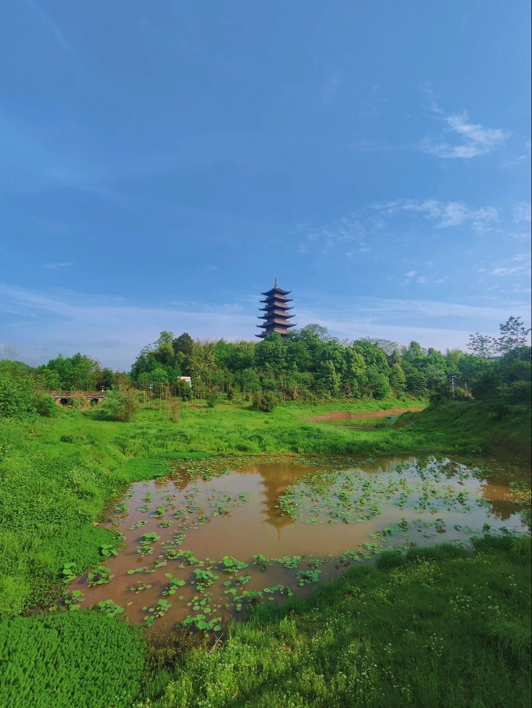 青山湖国家湿地公园旅行图片 3