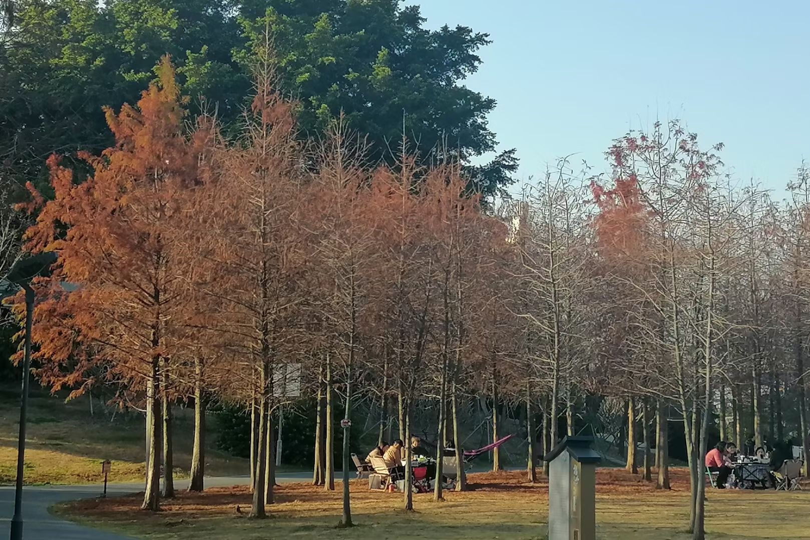 三江口生态公园旅行图片 3