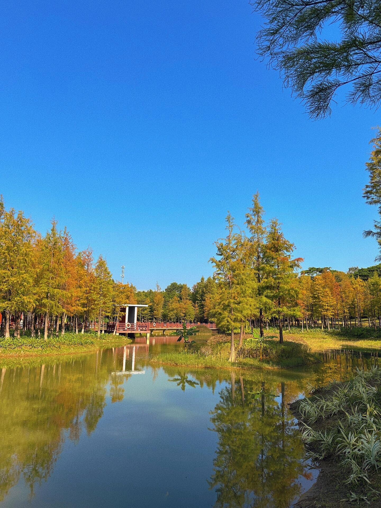 红花岭低碳生态园旅行图片 1