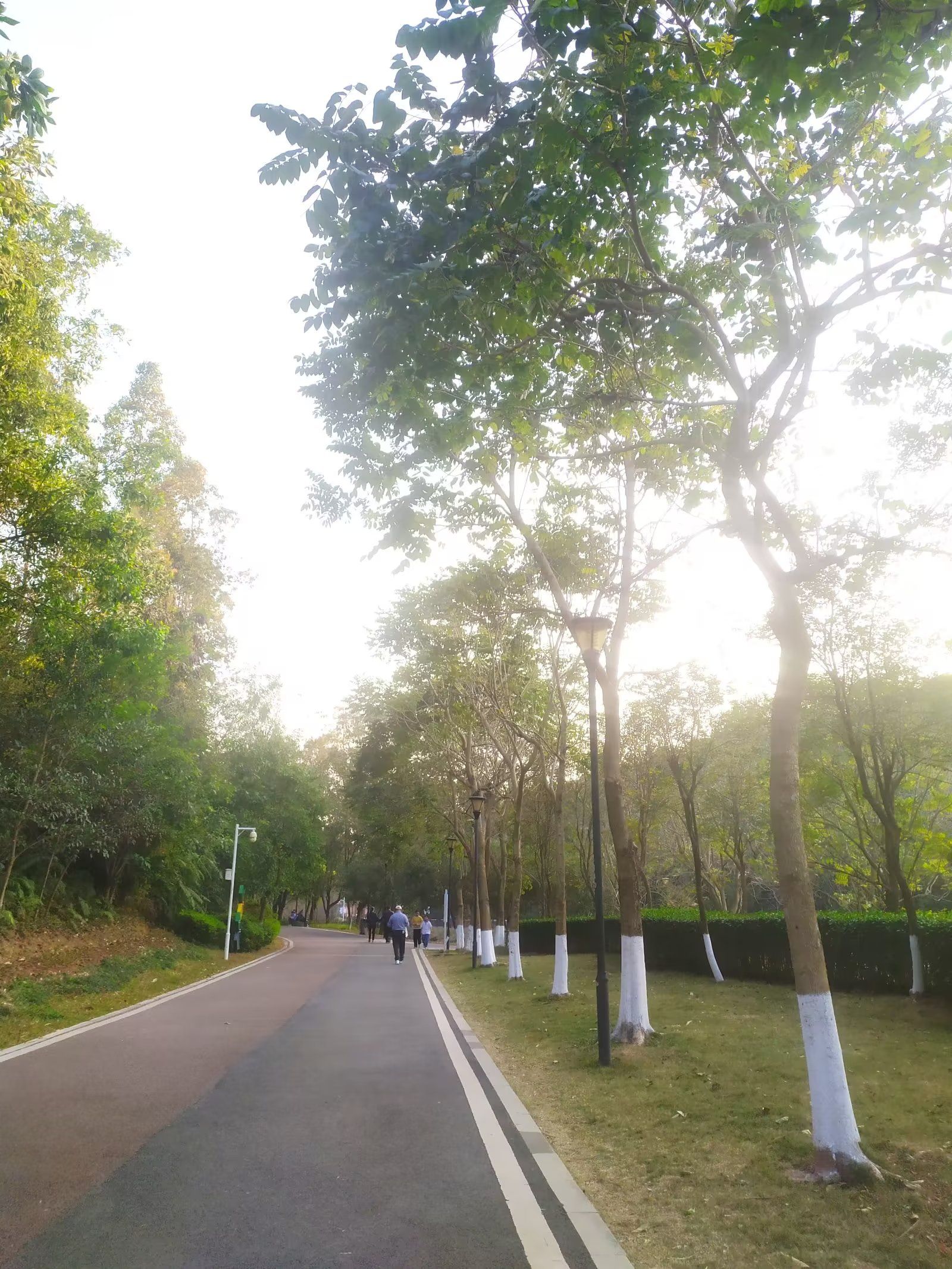 红花岭低碳生态园旅行图片 1