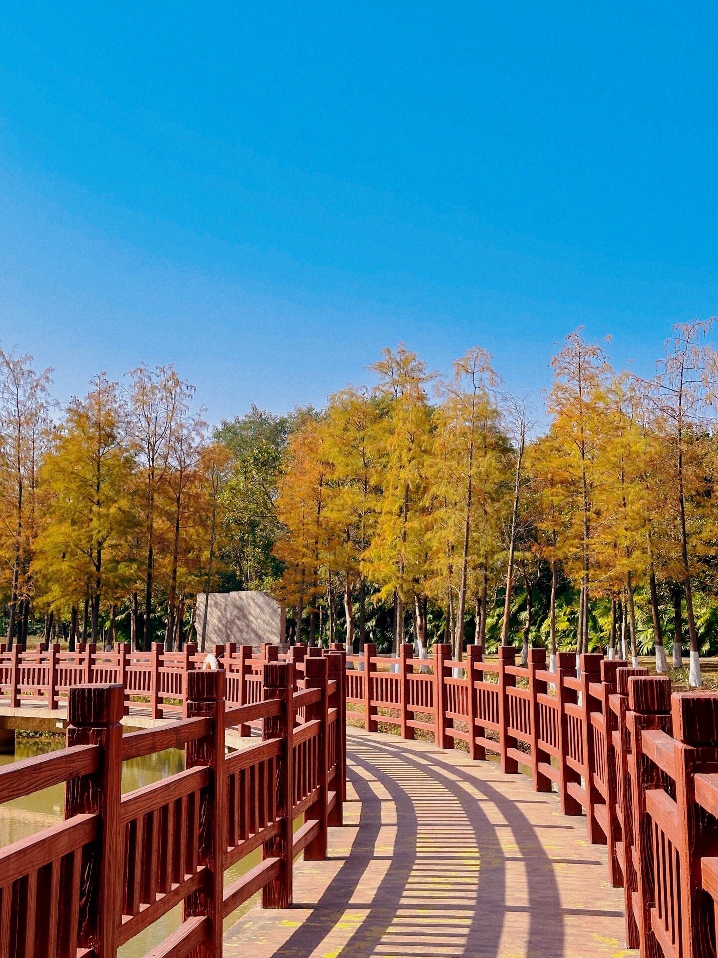 红花岭低碳生态园旅行图片 3