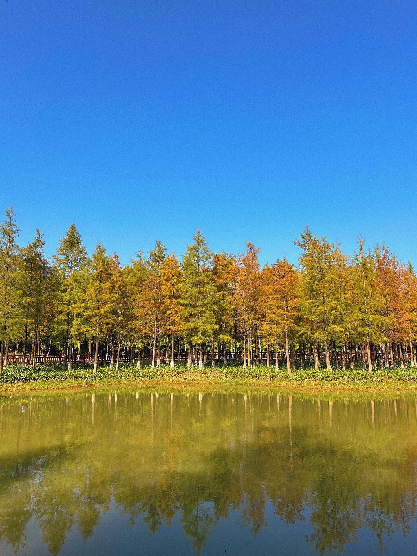 红花岭低碳生态园旅行图片 2