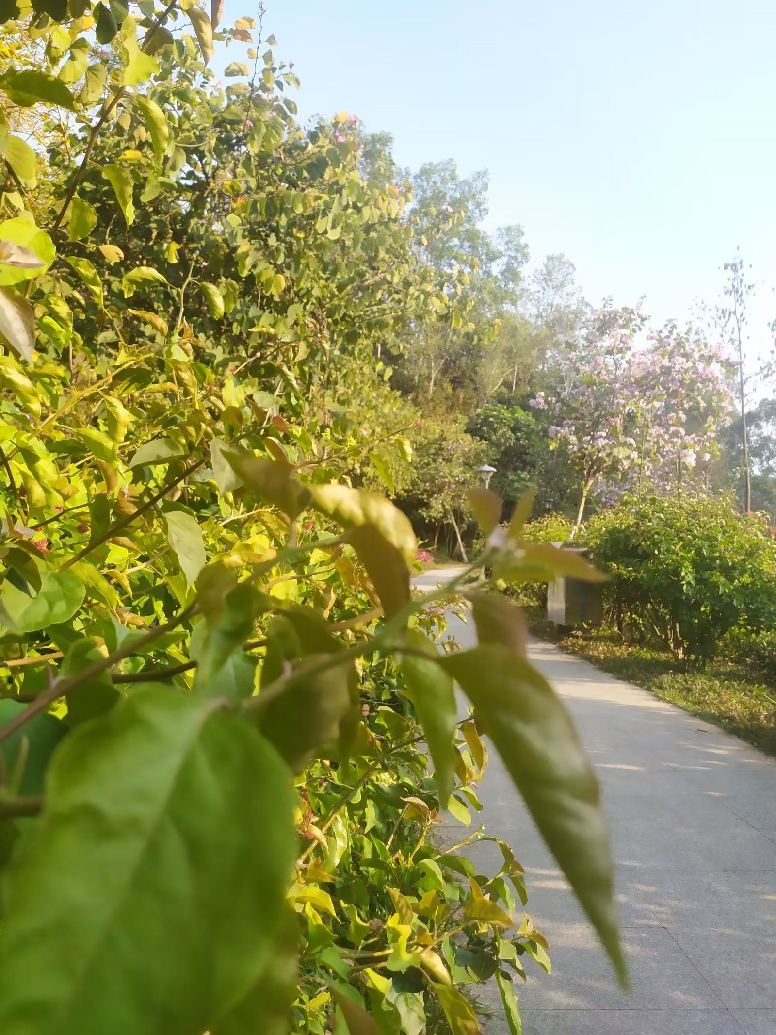 红花岭低碳生态园旅行图片 3