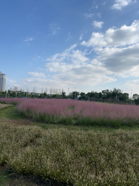 明湖公园旅行图片 1