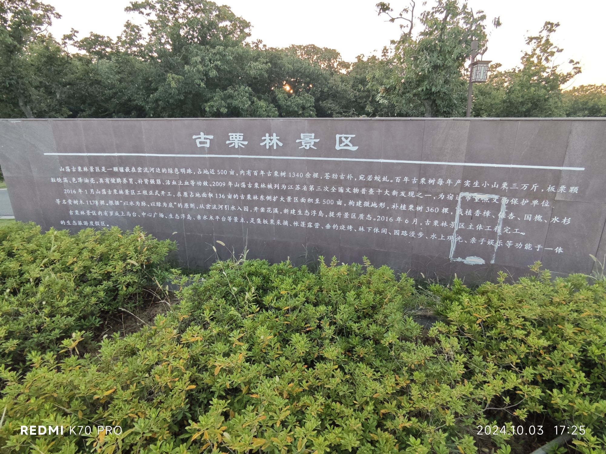 山荡古栗林旅行图片 3