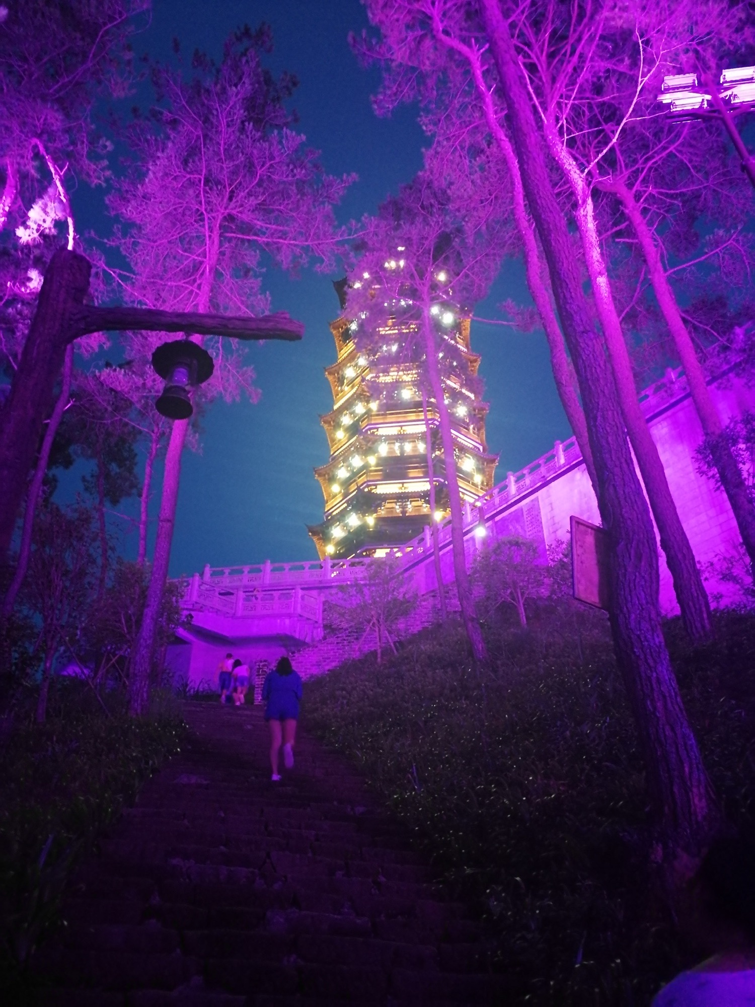 凤凰塔旅行图片 2