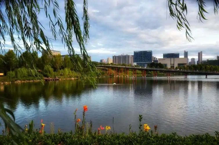 天鹅湖人民公园旅行图片 2