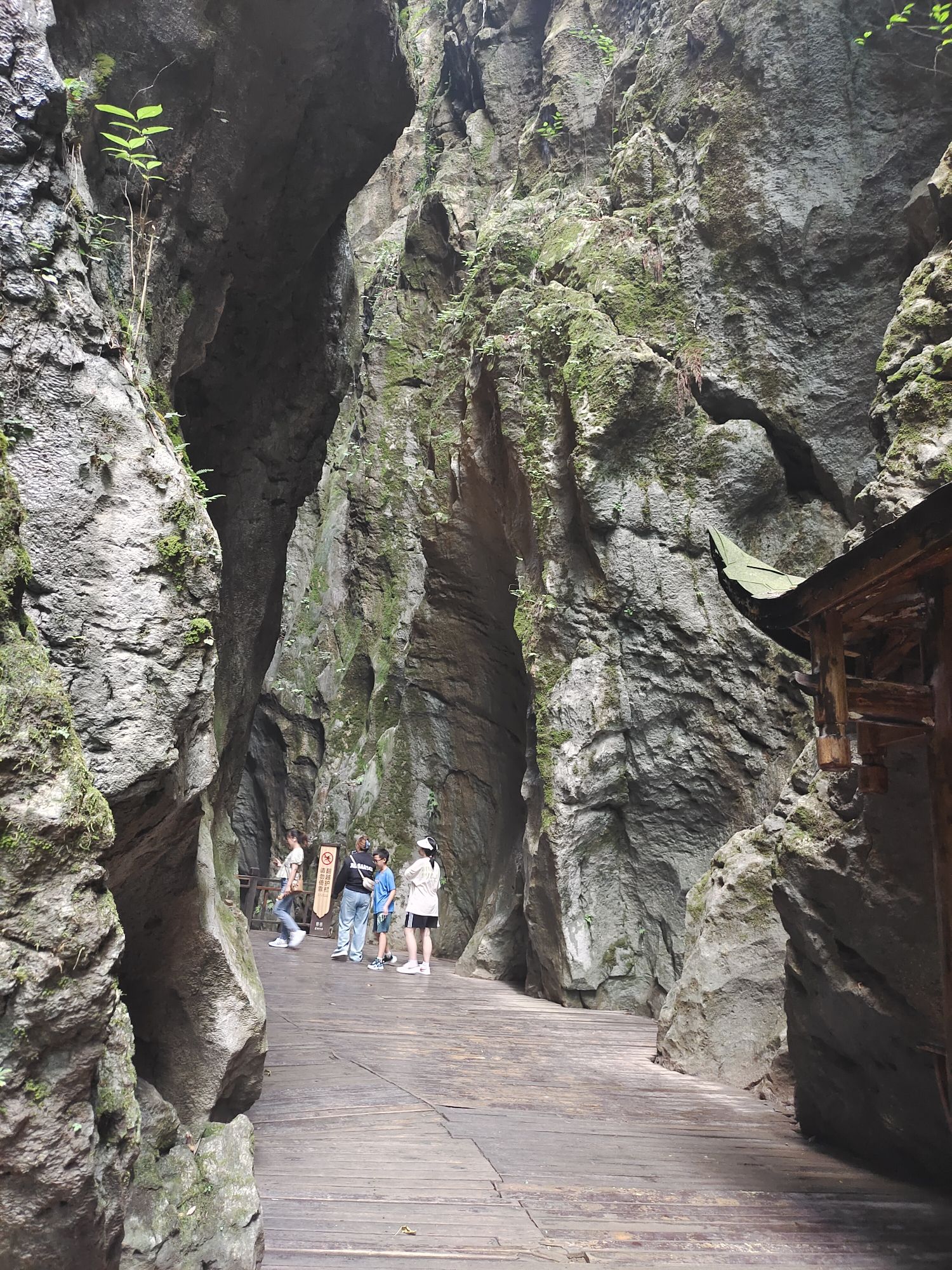 张家界地缝景区旅行图片 2