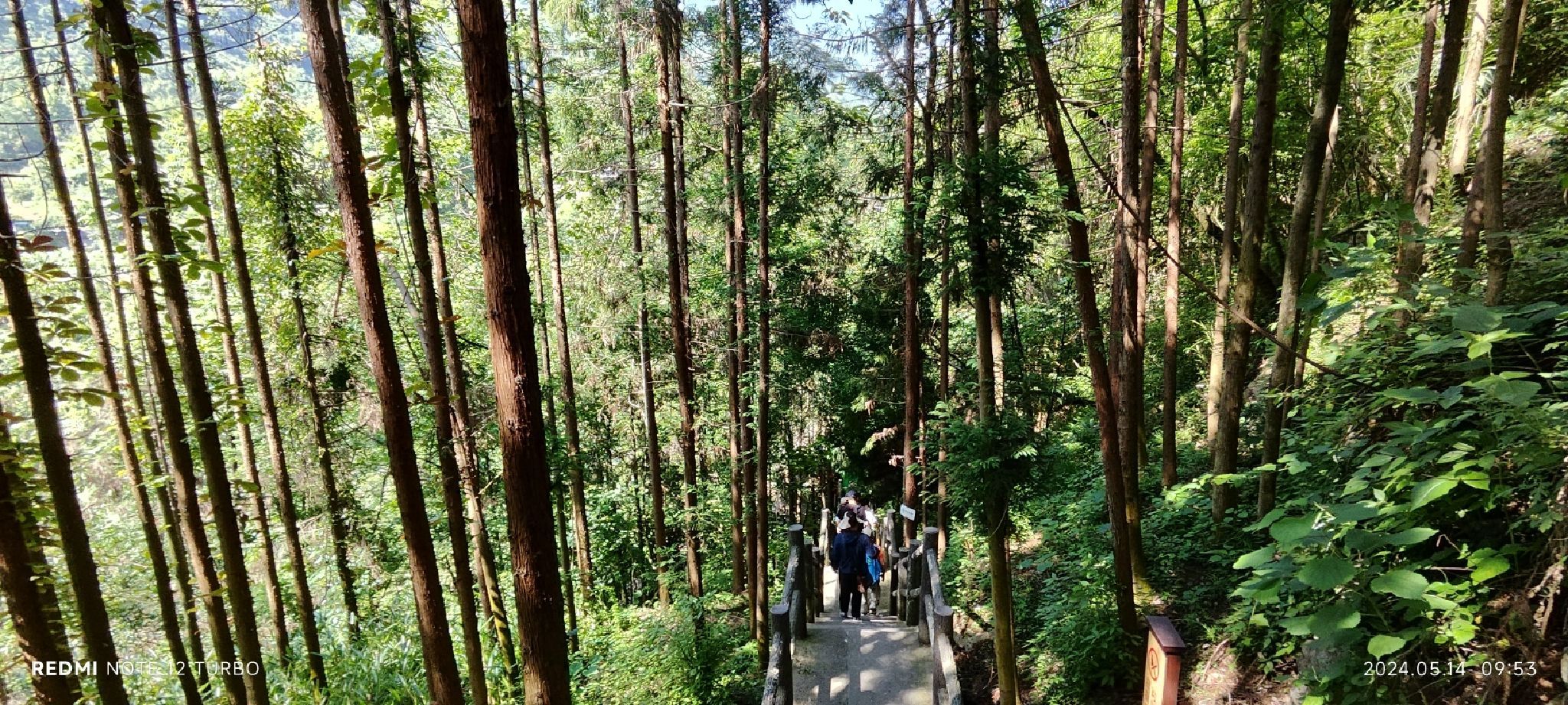 张家界地缝景区旅行图片 1