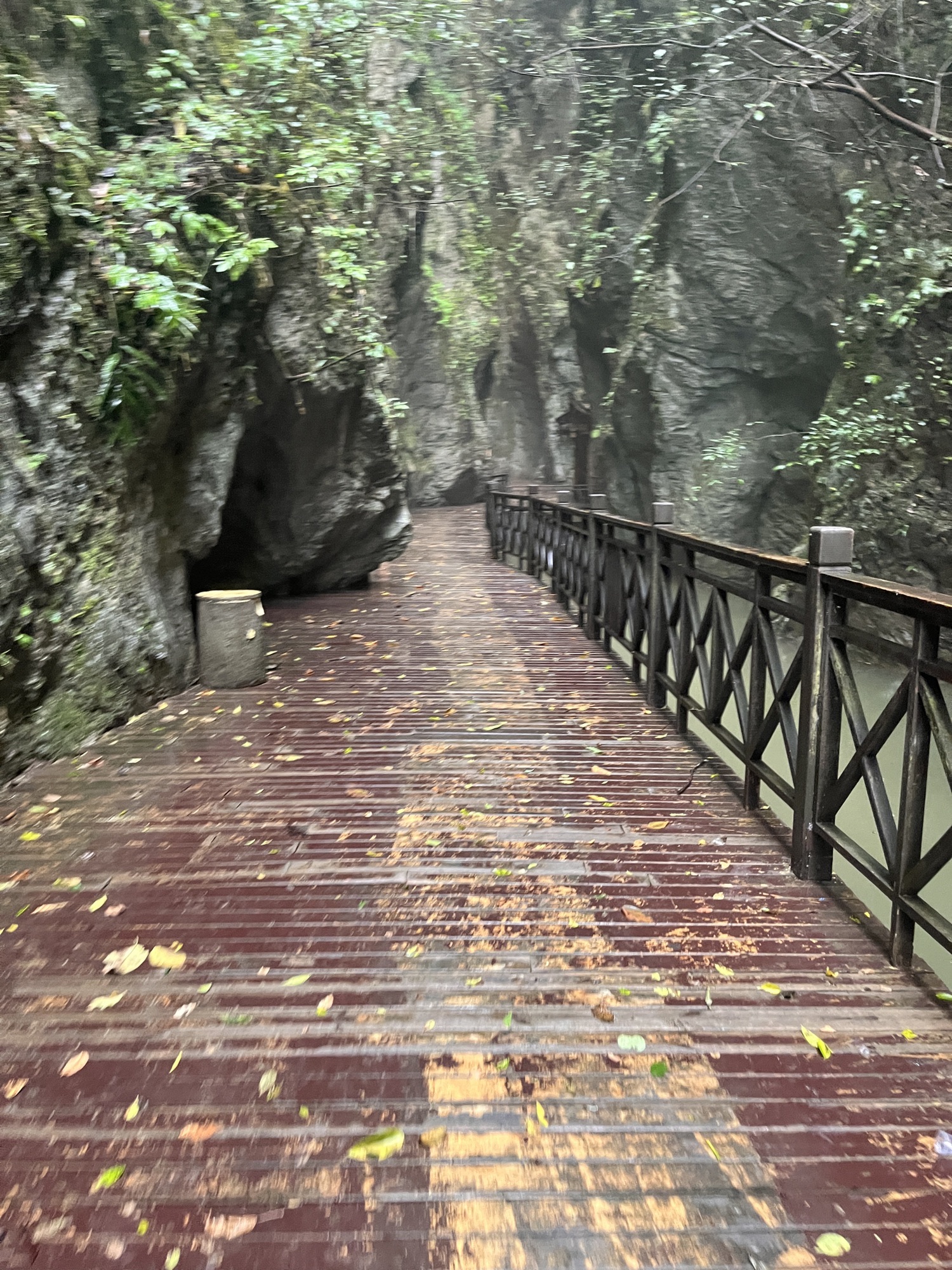 张家界地缝景区旅行图片 1