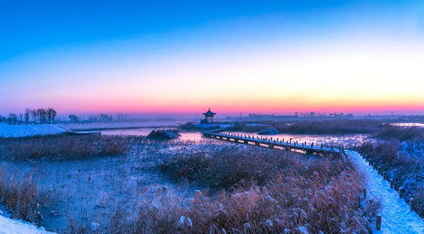夏津九龙口国家湿地公园旅行图片 3