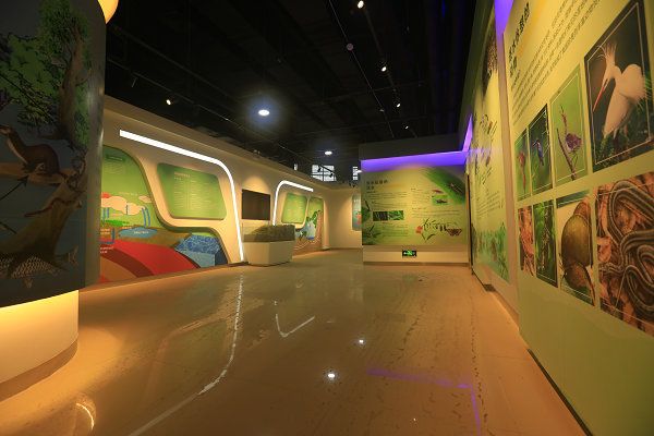 夏津九龙口国家湿地公园旅行图片 3