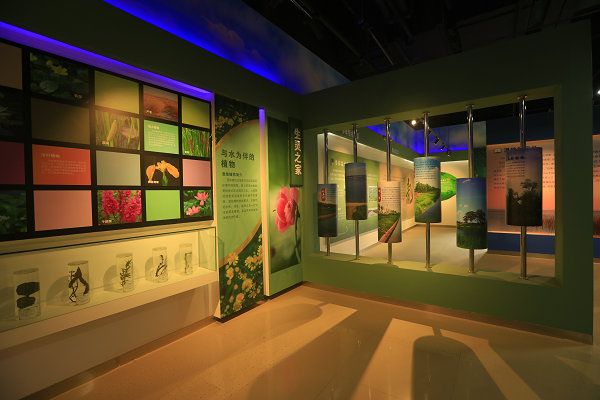 夏津九龙口国家湿地公园旅行图片 2